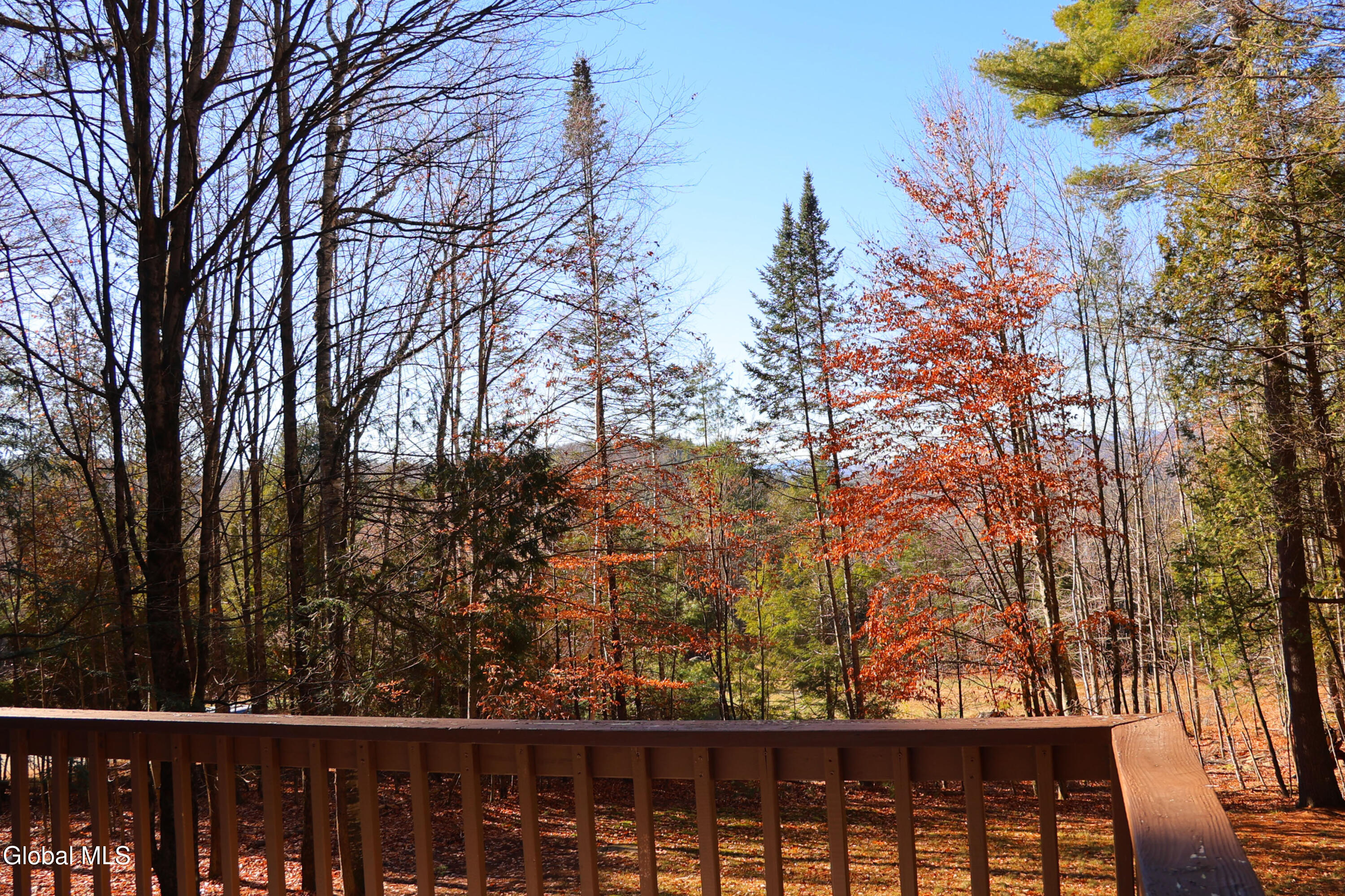 105 Pine Lane Adirondack NY 12808