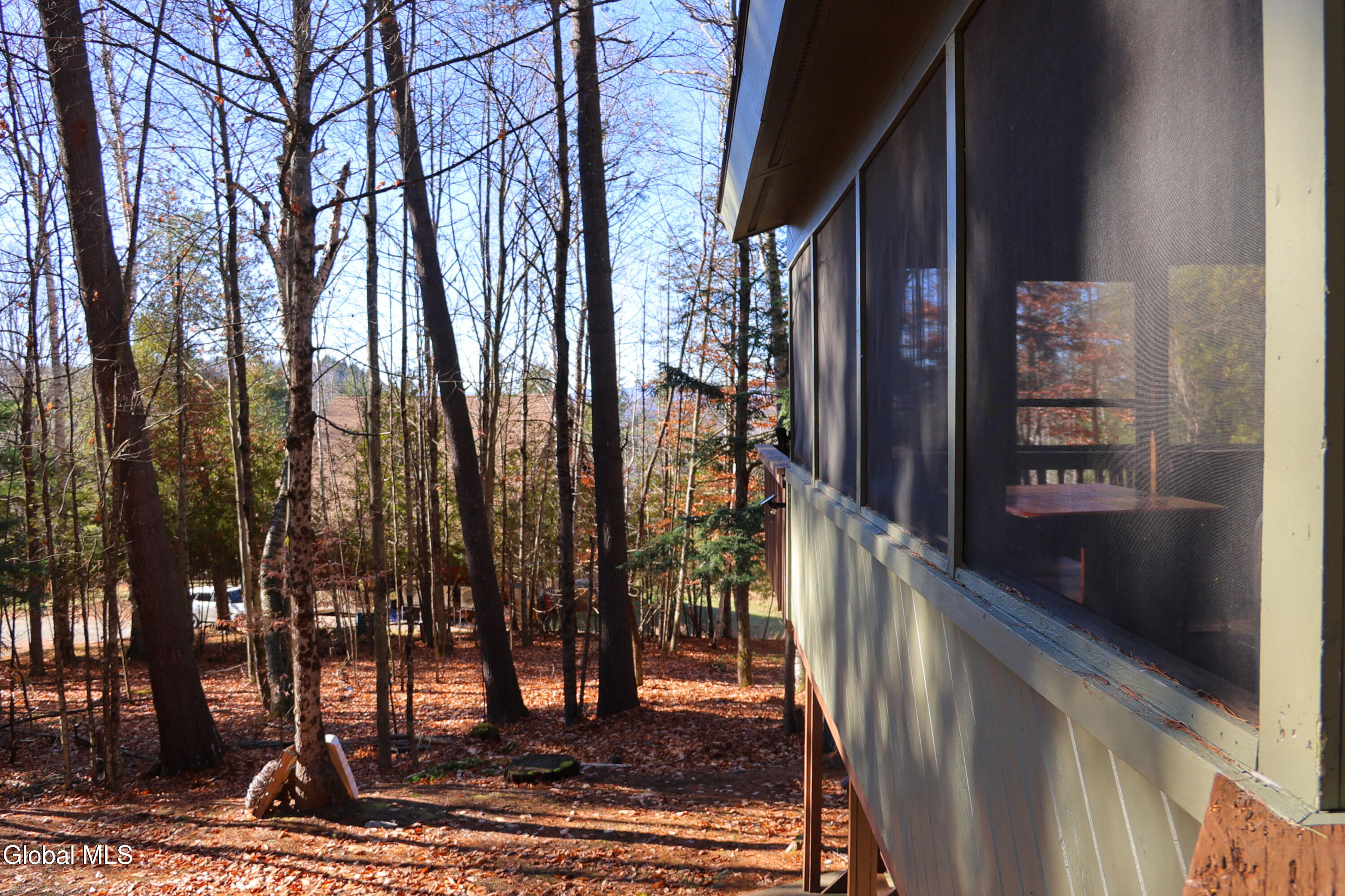 105 Pine Lane Adirondack NY 12808