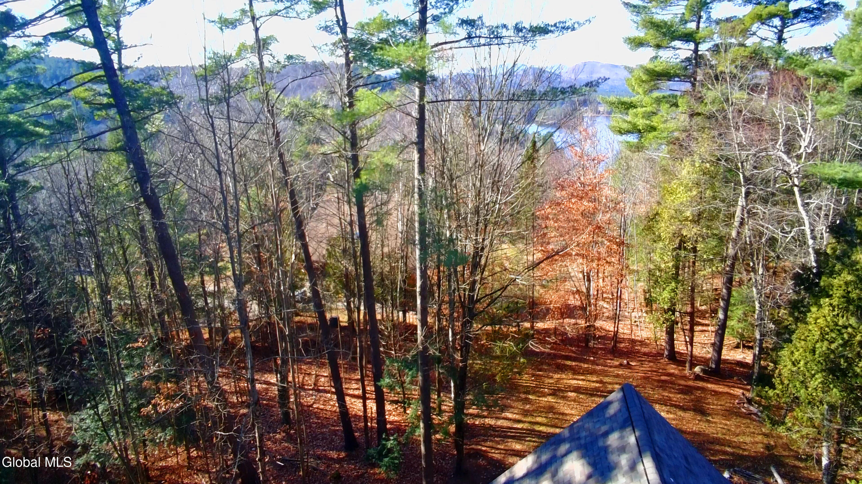 105 Pine Lane Adirondack NY 12808