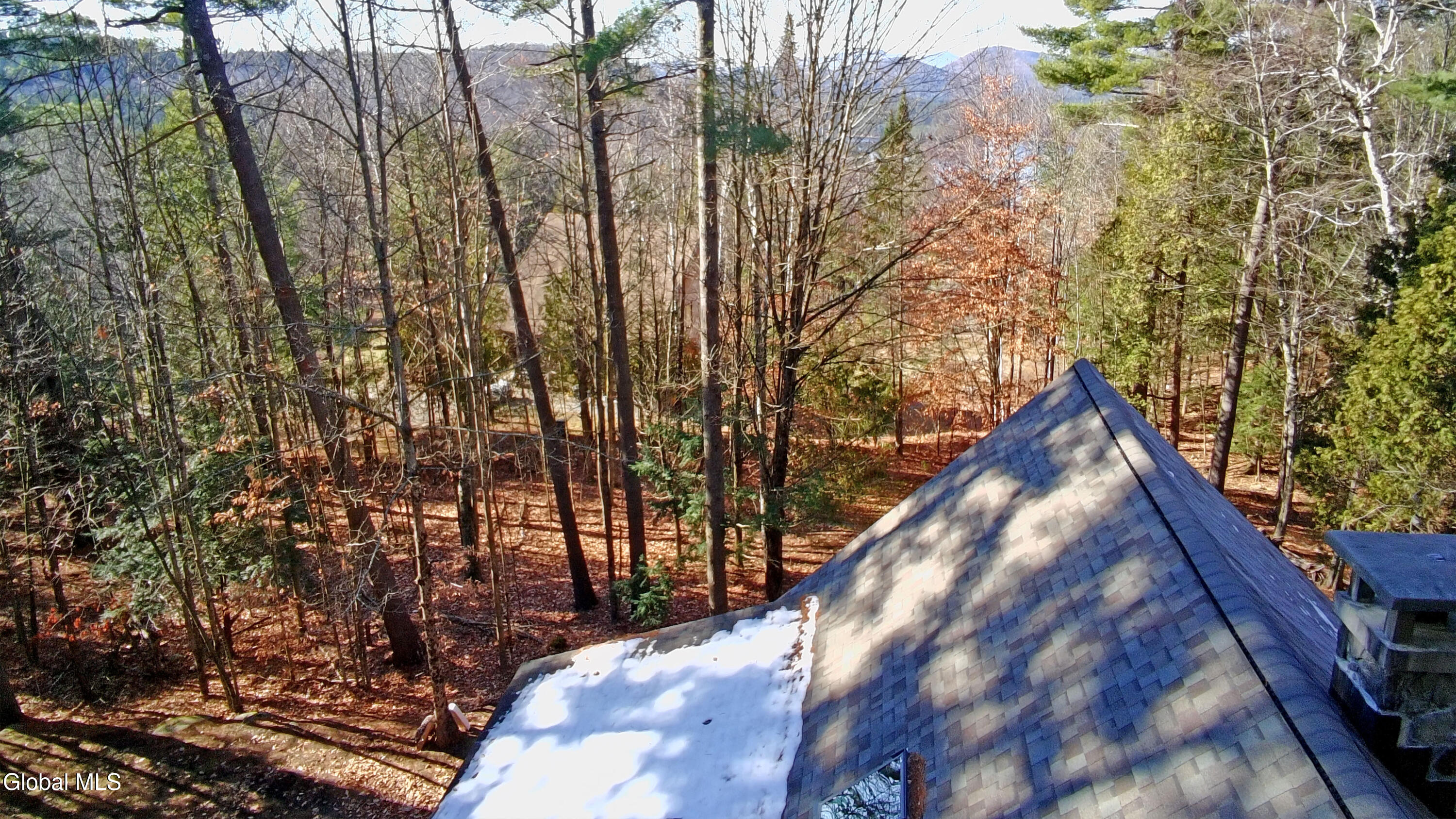 105 Pine Lane Adirondack NY 12808