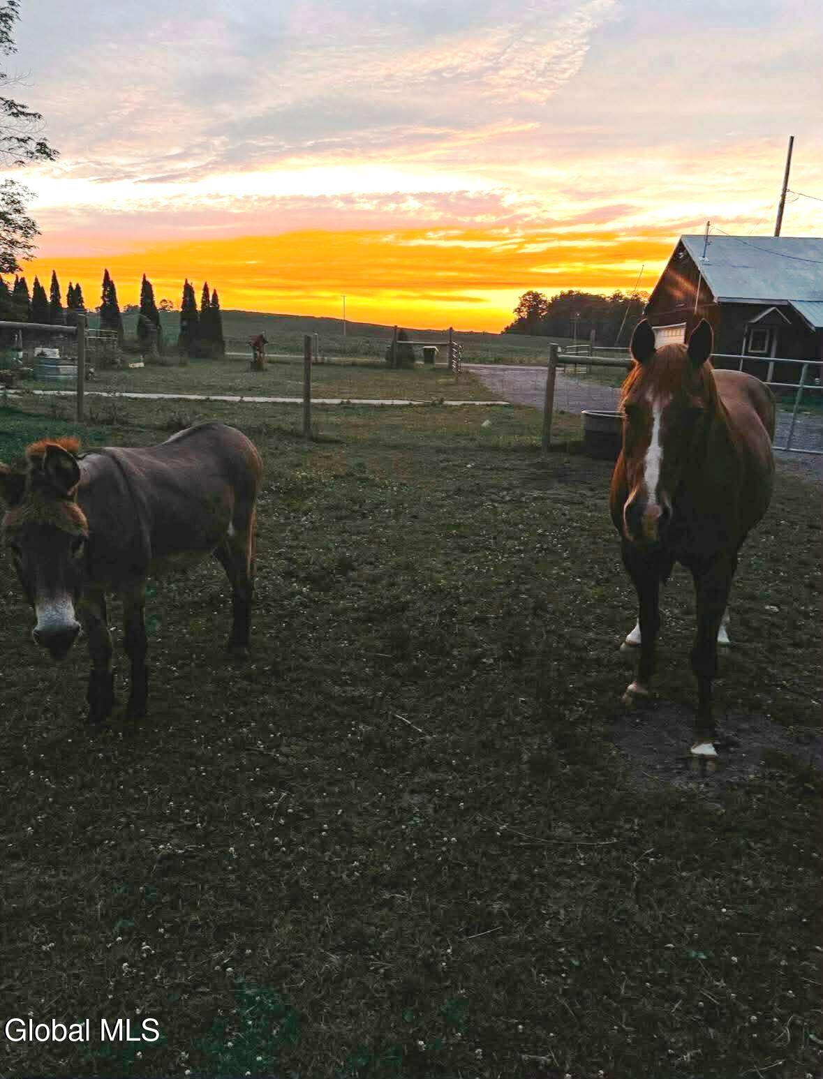 240 Egelston Road Fultonville NY 12072