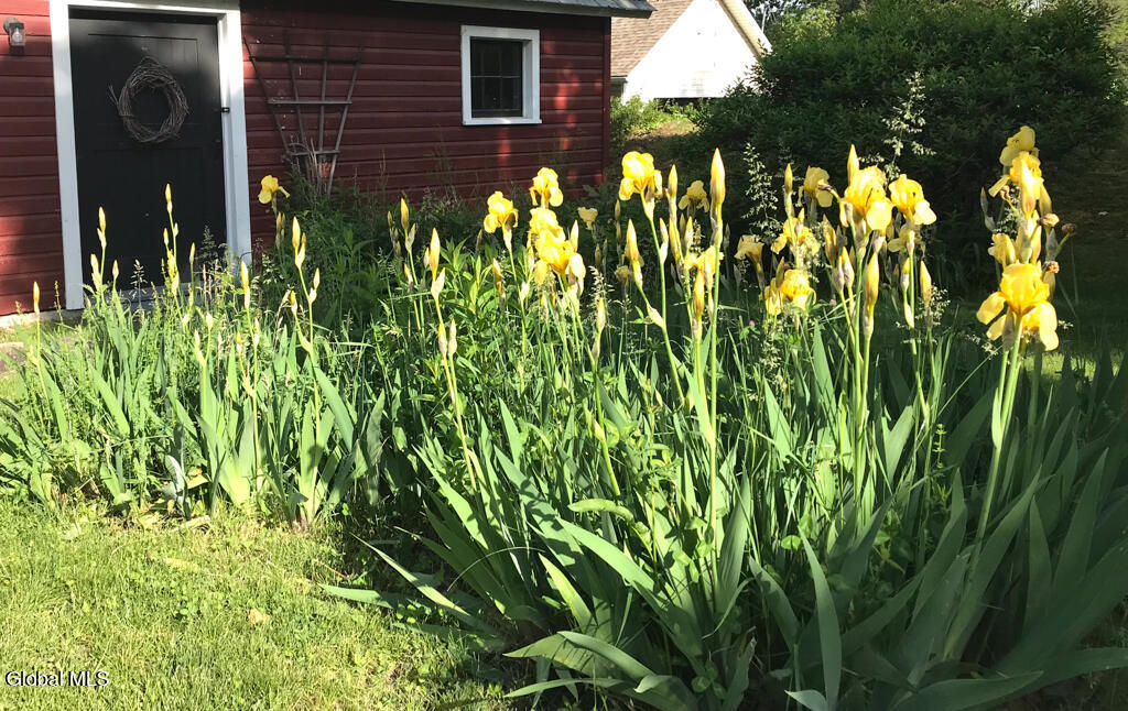 338 Cleverdale Road Cleverdale NY 12804