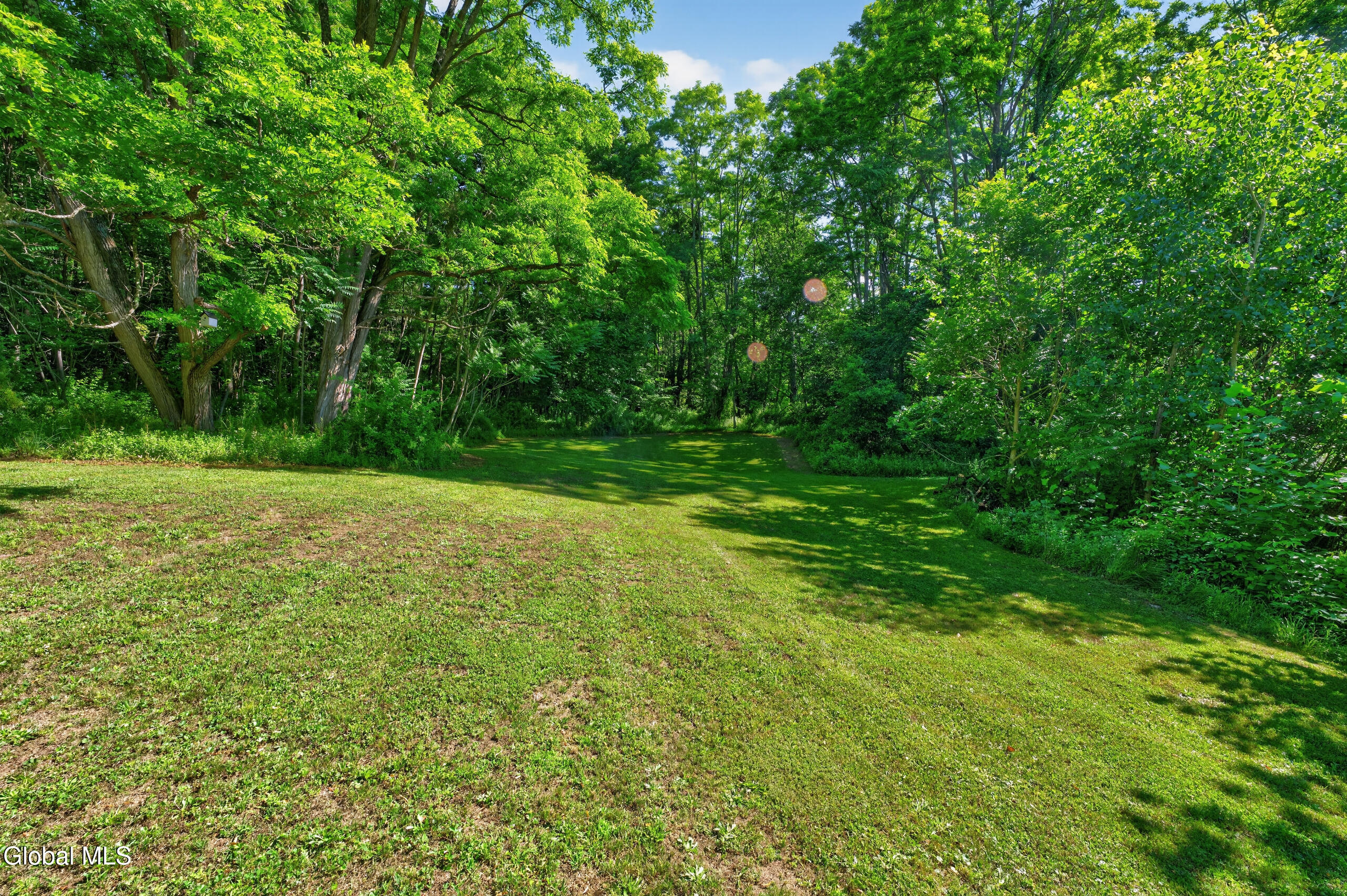 41 Red Mill Road Freehold NY 12083