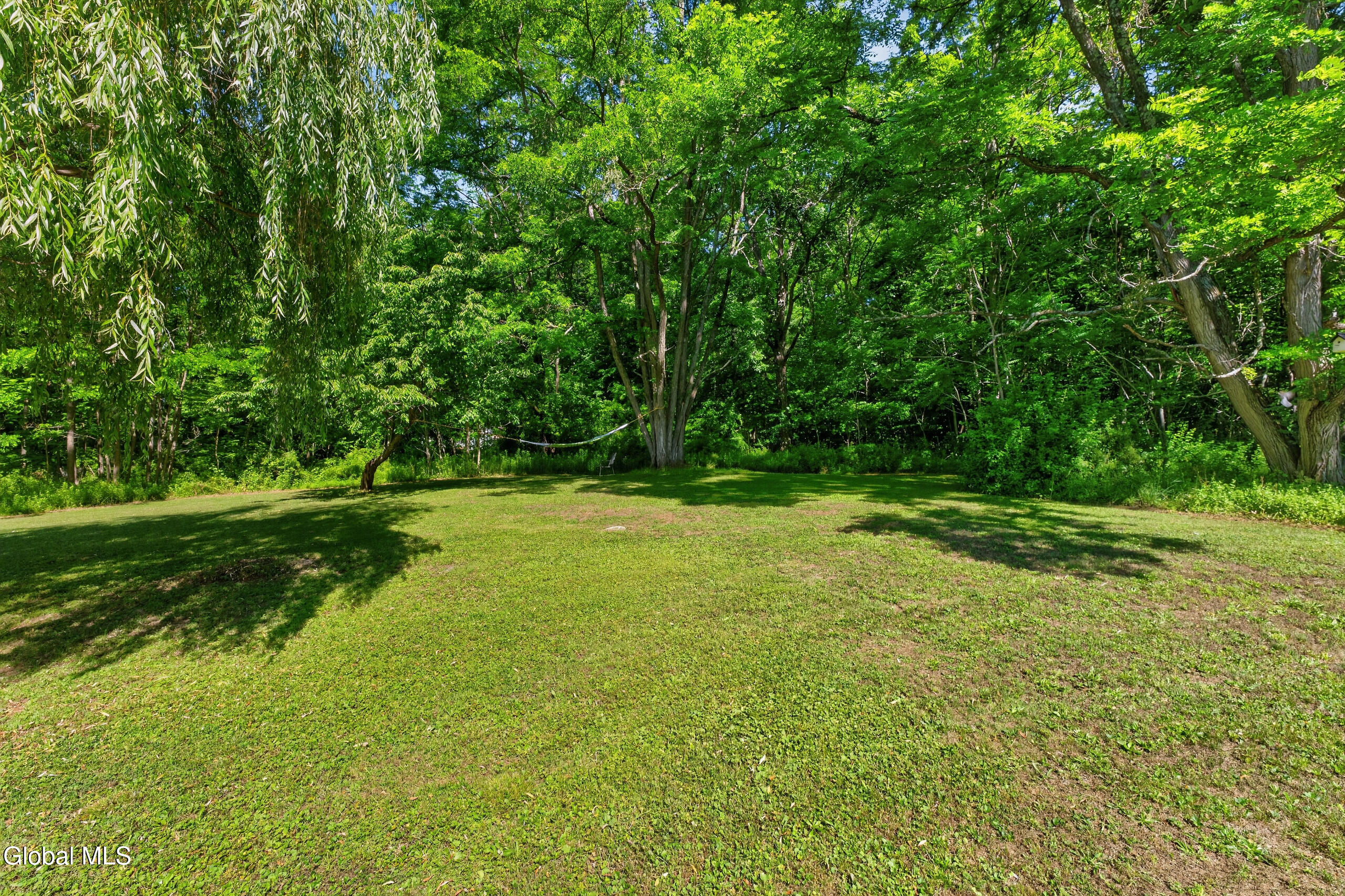 41 Red Mill Road Freehold NY 12083