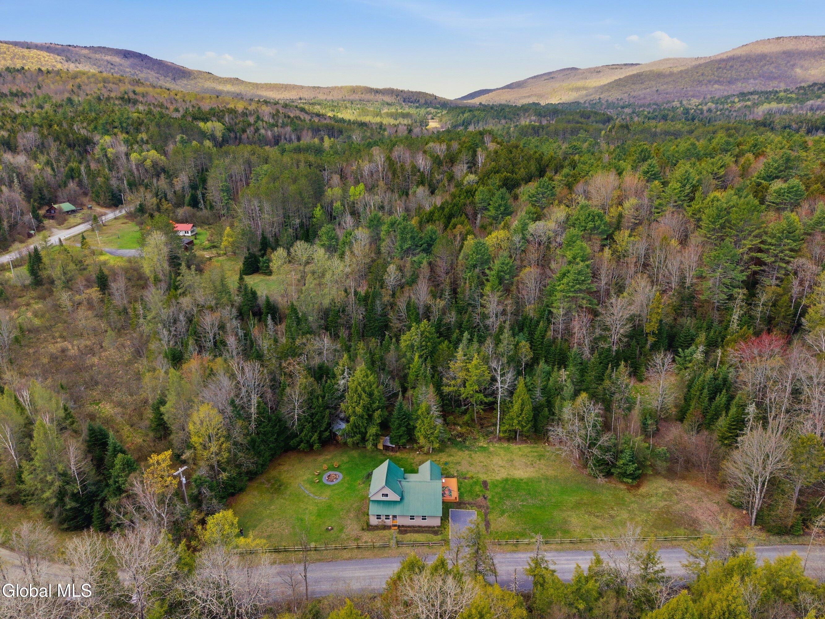 14 Wolf Pond Road Stony Creek NY 12878