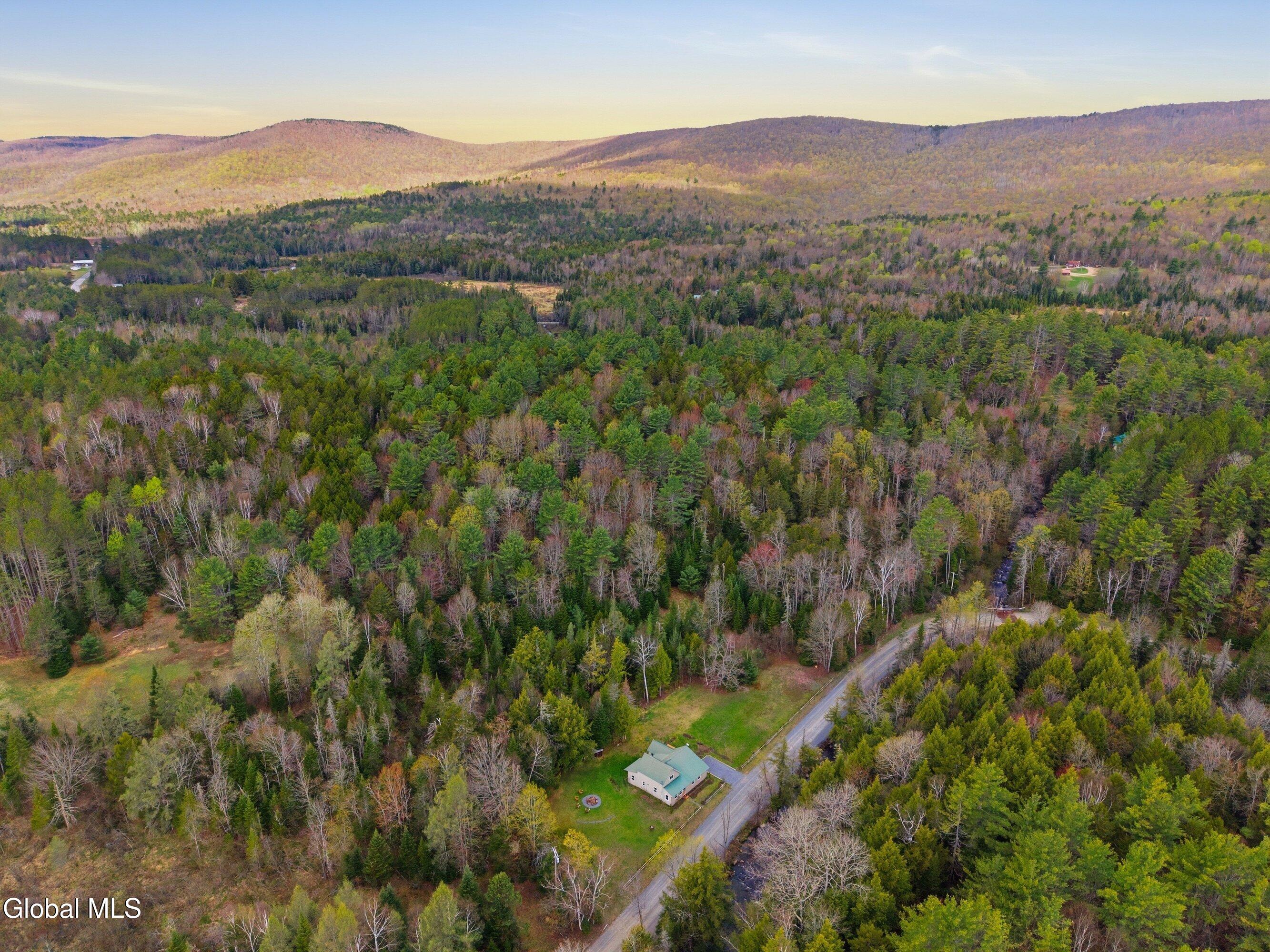 14 Wolf Pond Road Stony Creek NY 12878