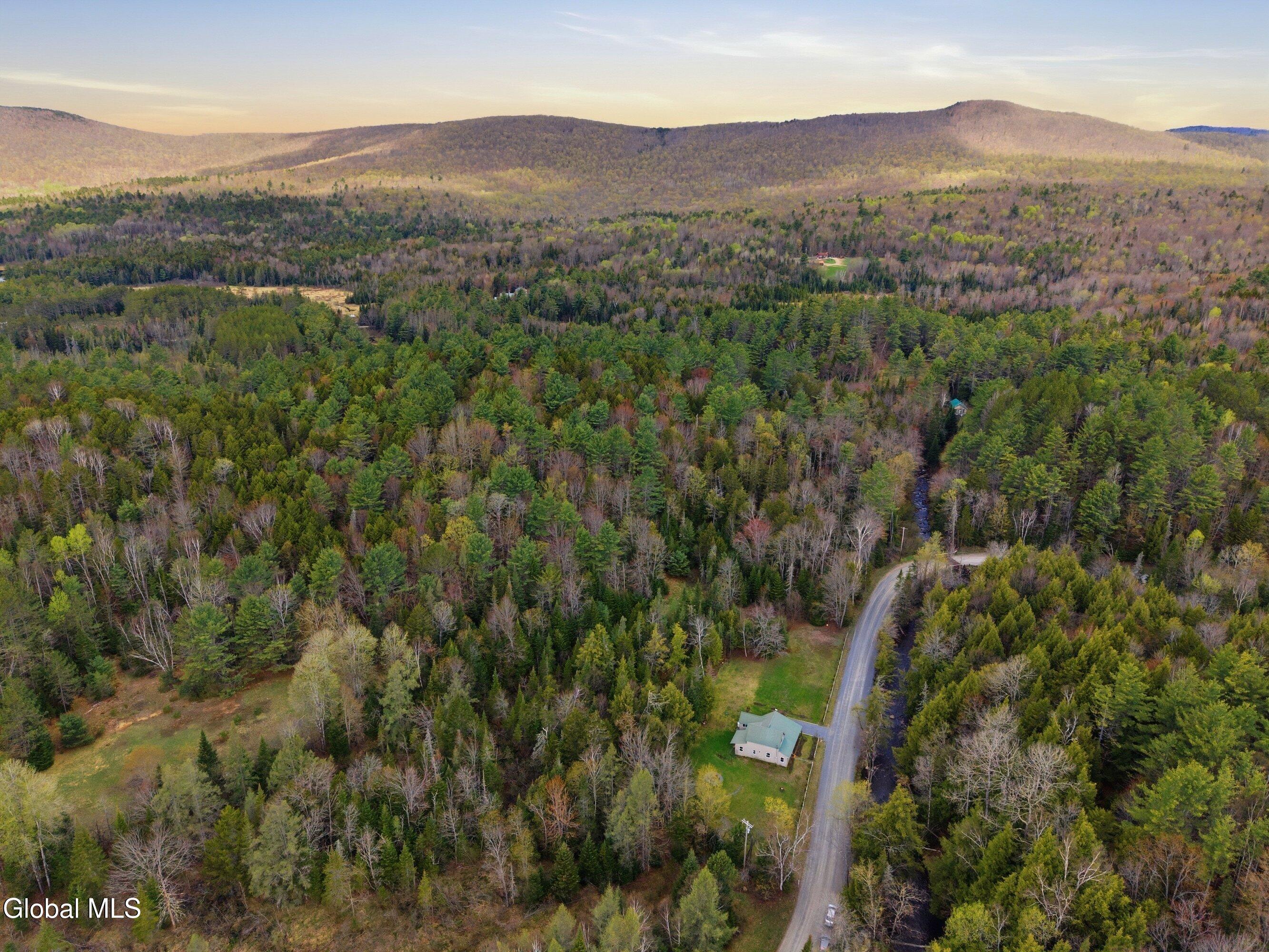 14 Wolf Pond Road Stony Creek NY 12878