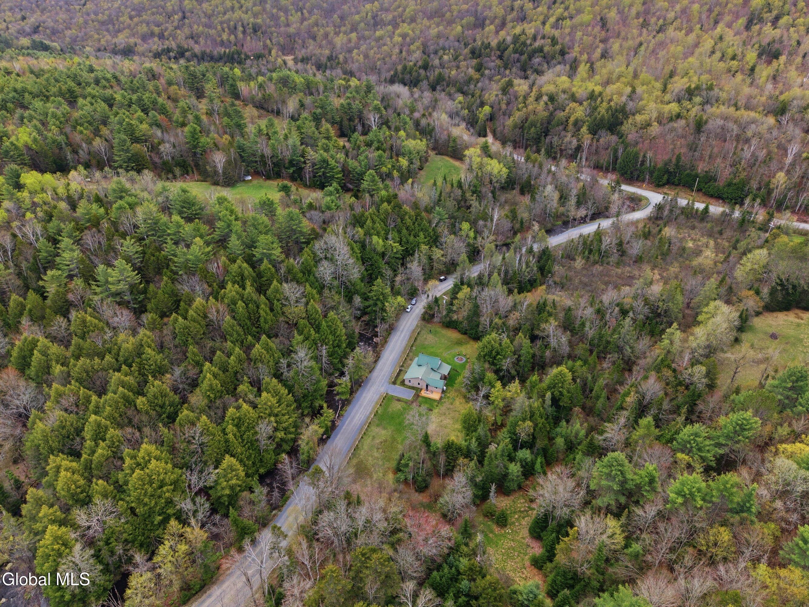 14 Wolf Pond Road Stony Creek NY 12878