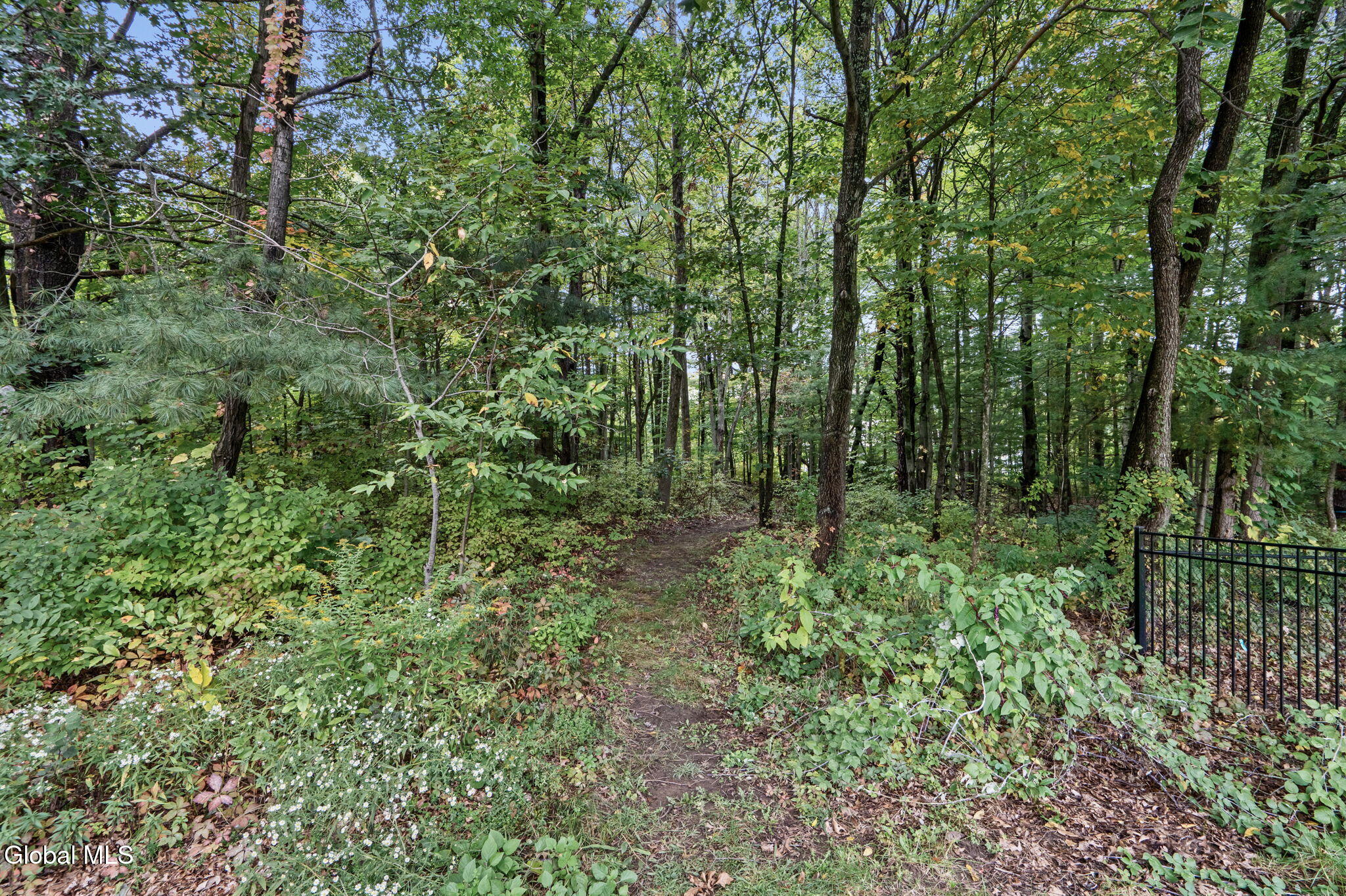 37 Forest Drive Voorheesville NY 12186