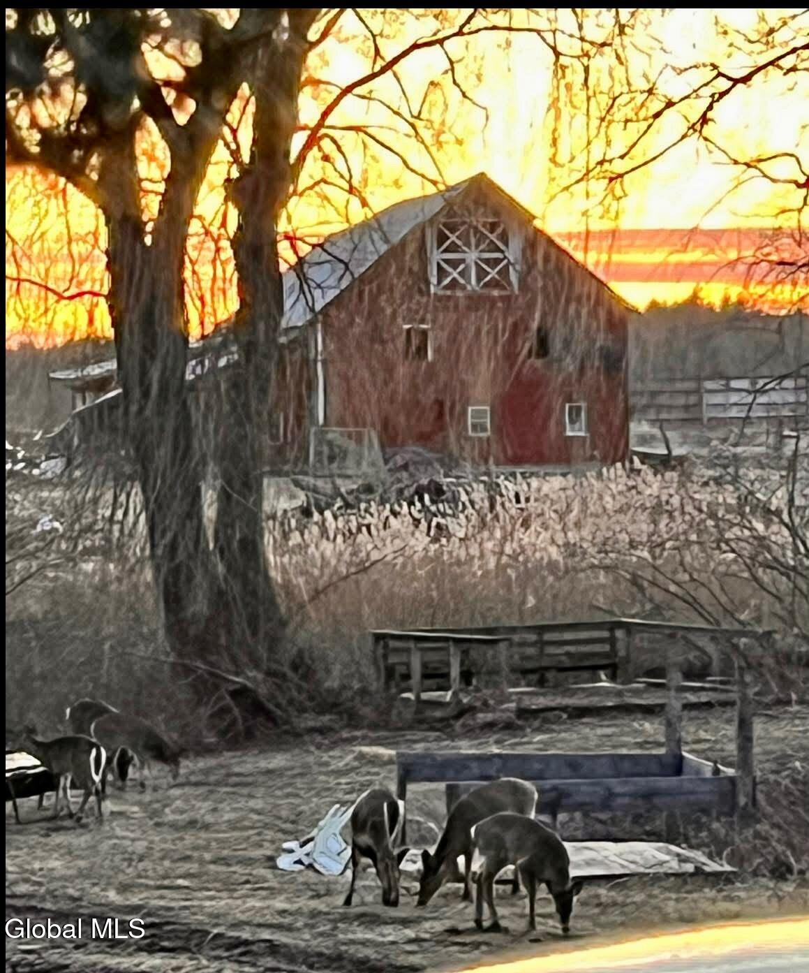 801 Mace Chasm Road Keeseville NY 12944