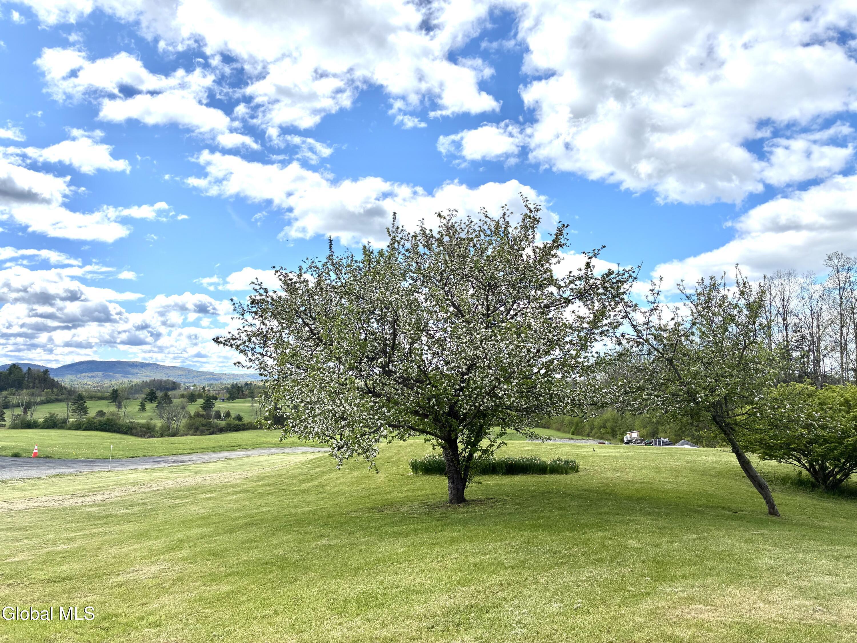 138 County Road 9 Whitehall NY 12887