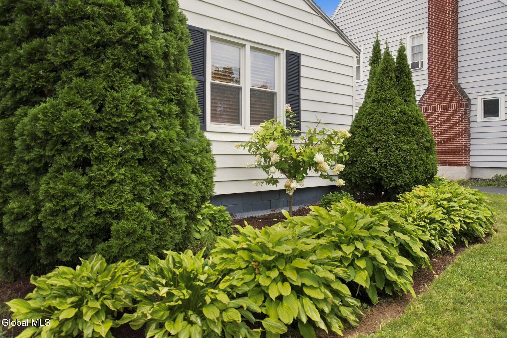 291 S Main Avenue Albany NY 12208