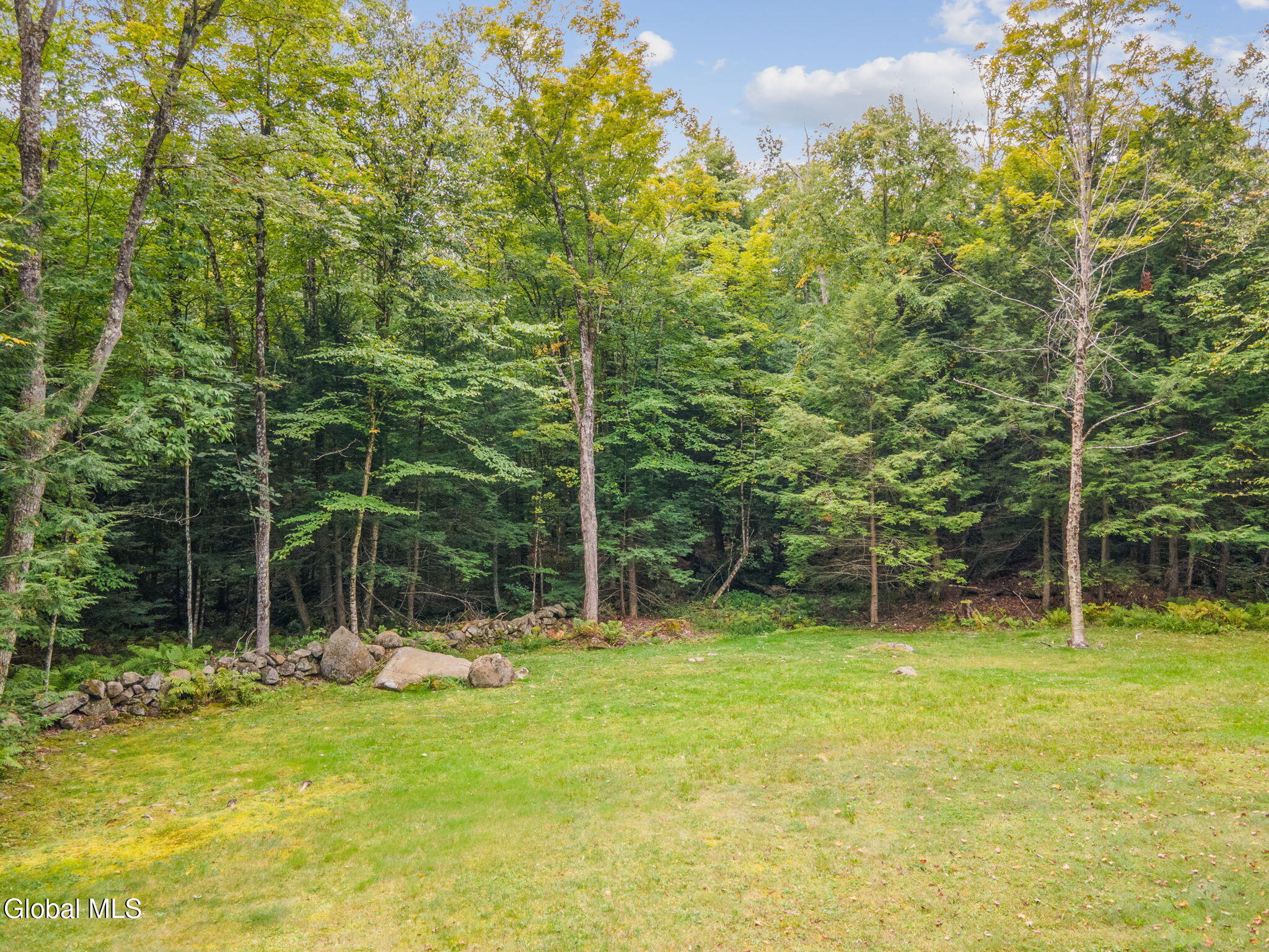 46 S Trout Lake Road Diamond Point NY 12824