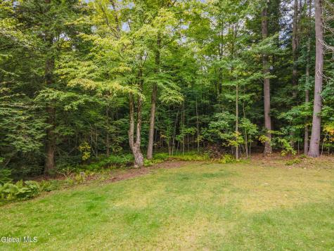 46 S Trout Lake Road Diamond Point NY 12824
