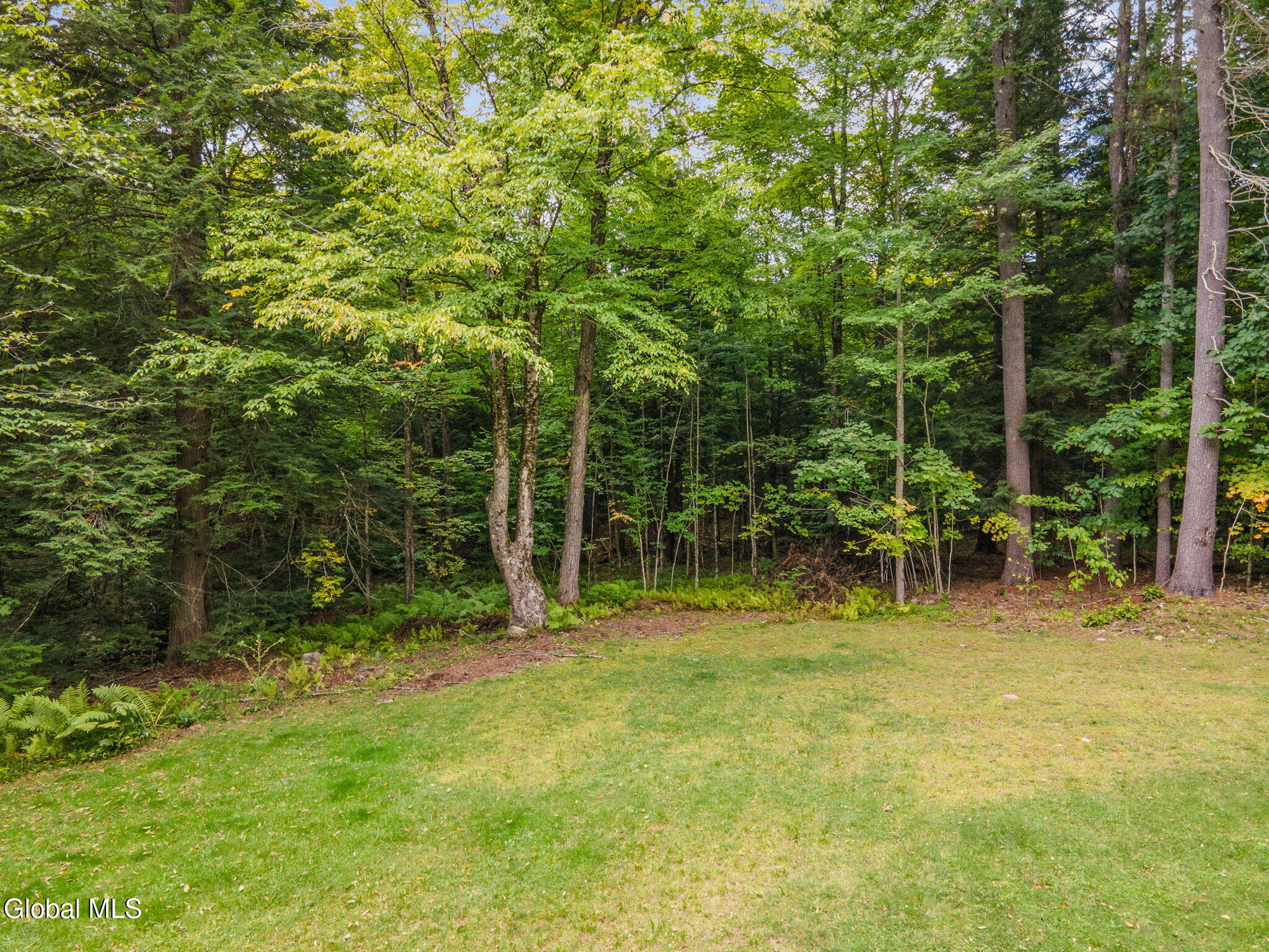 46 S Trout Lake Road Diamond Point NY 12824