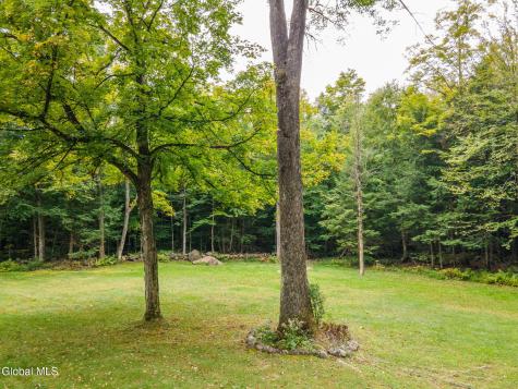 46 S Trout Lake Road Diamond Point NY 12824