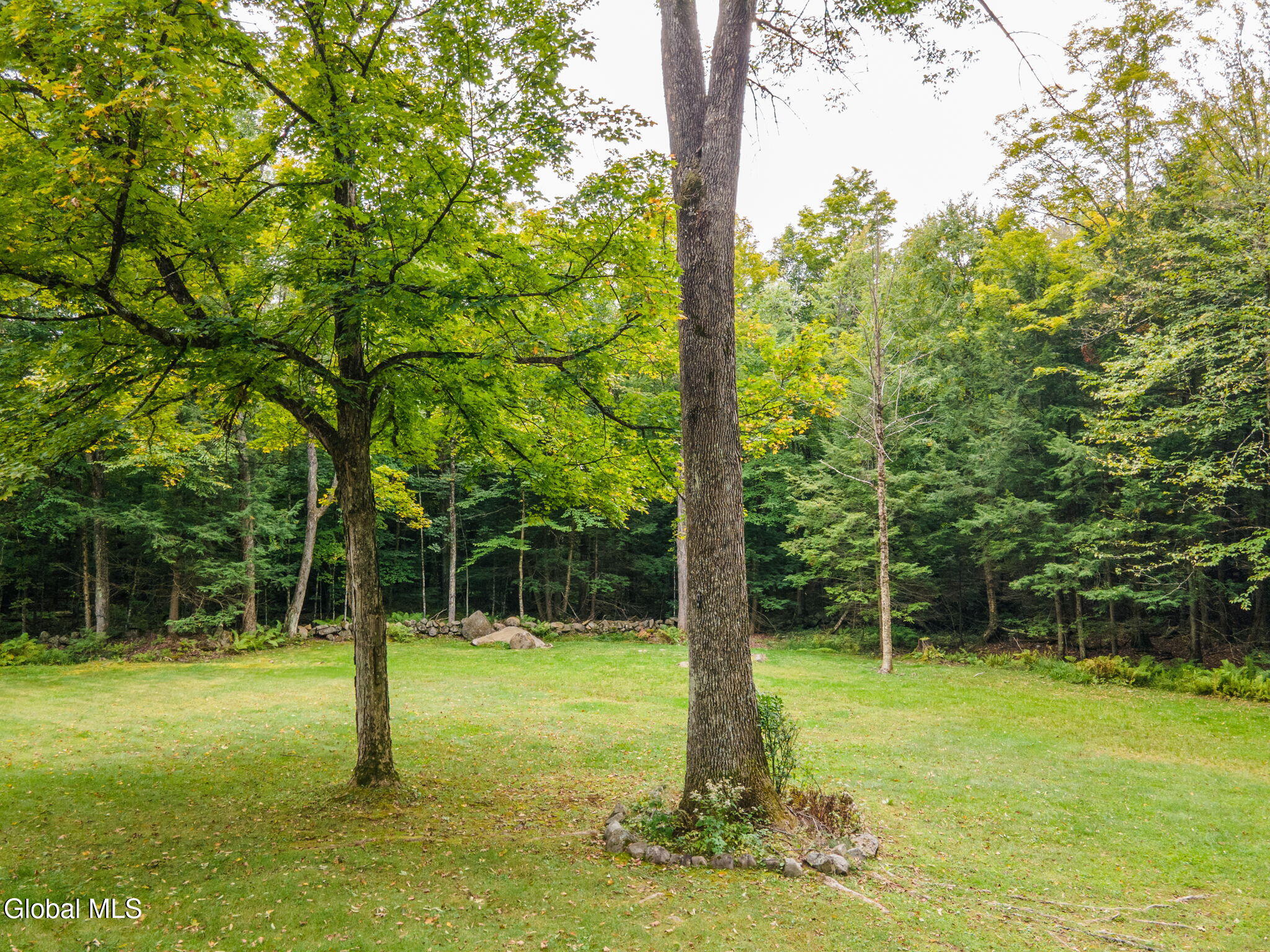 46 S Trout Lake Road Diamond Point NY 12824