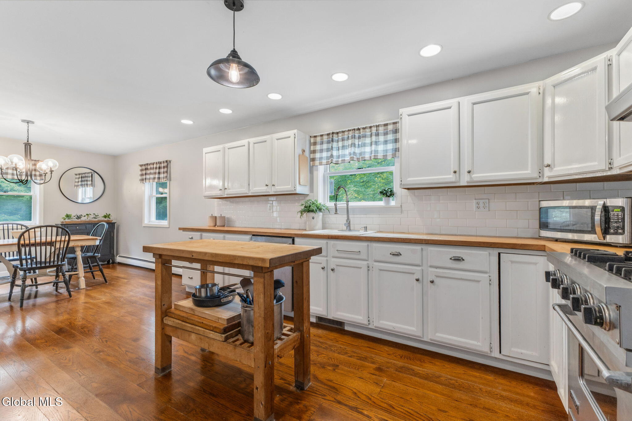 46 S Trout Lake Road Diamond Point NY 12824