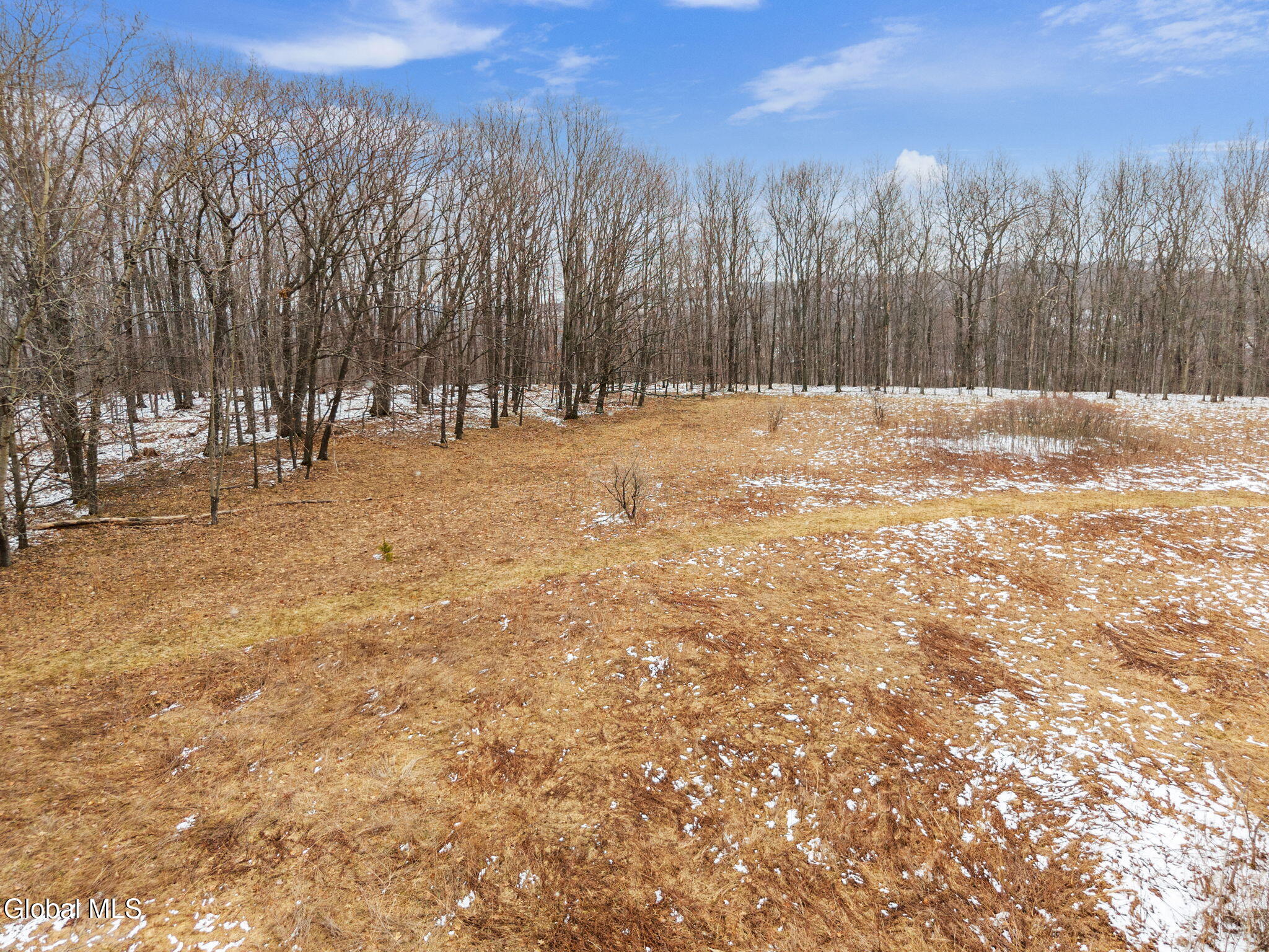 184 Beechwood Road Sharon Springs NY 13459