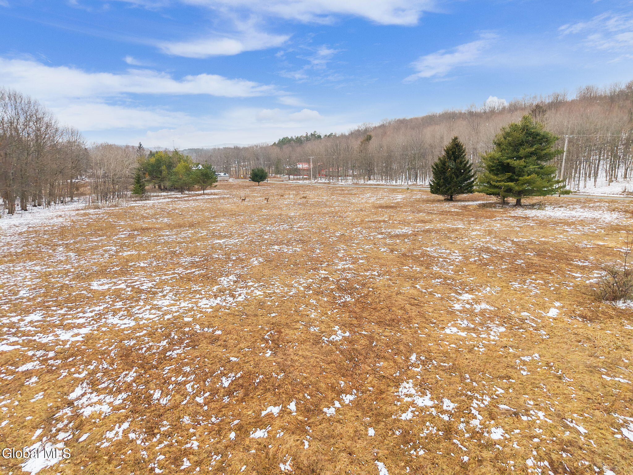 184 Beechwood Road Sharon Springs NY 13459