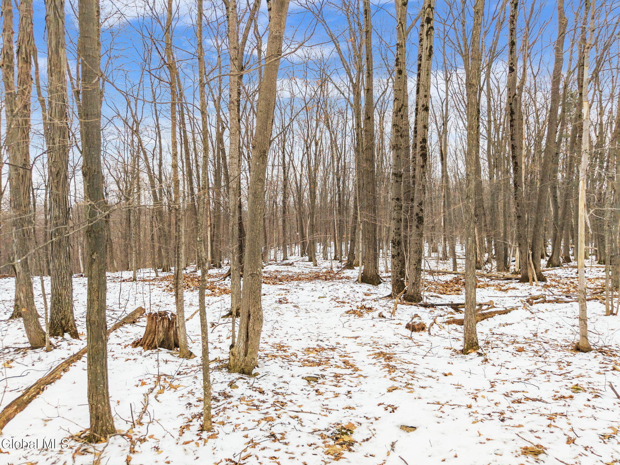 184 Beechwood Road Sharon Springs NY 13459
