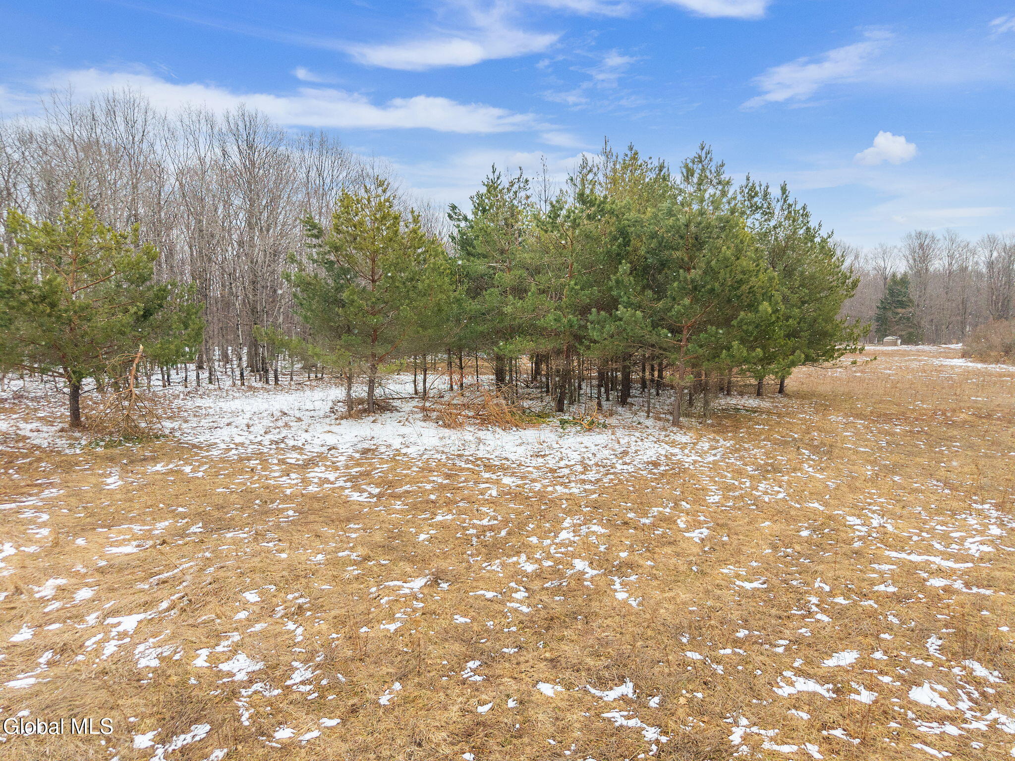 184 Beechwood Road Sharon Springs NY 13459