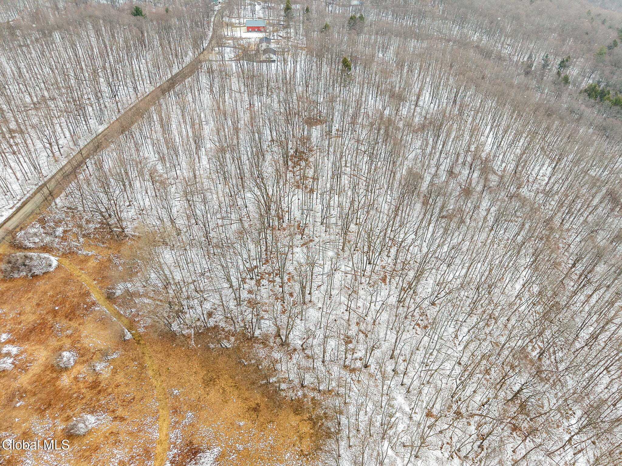 184 Beechwood Road Sharon Springs NY 13459