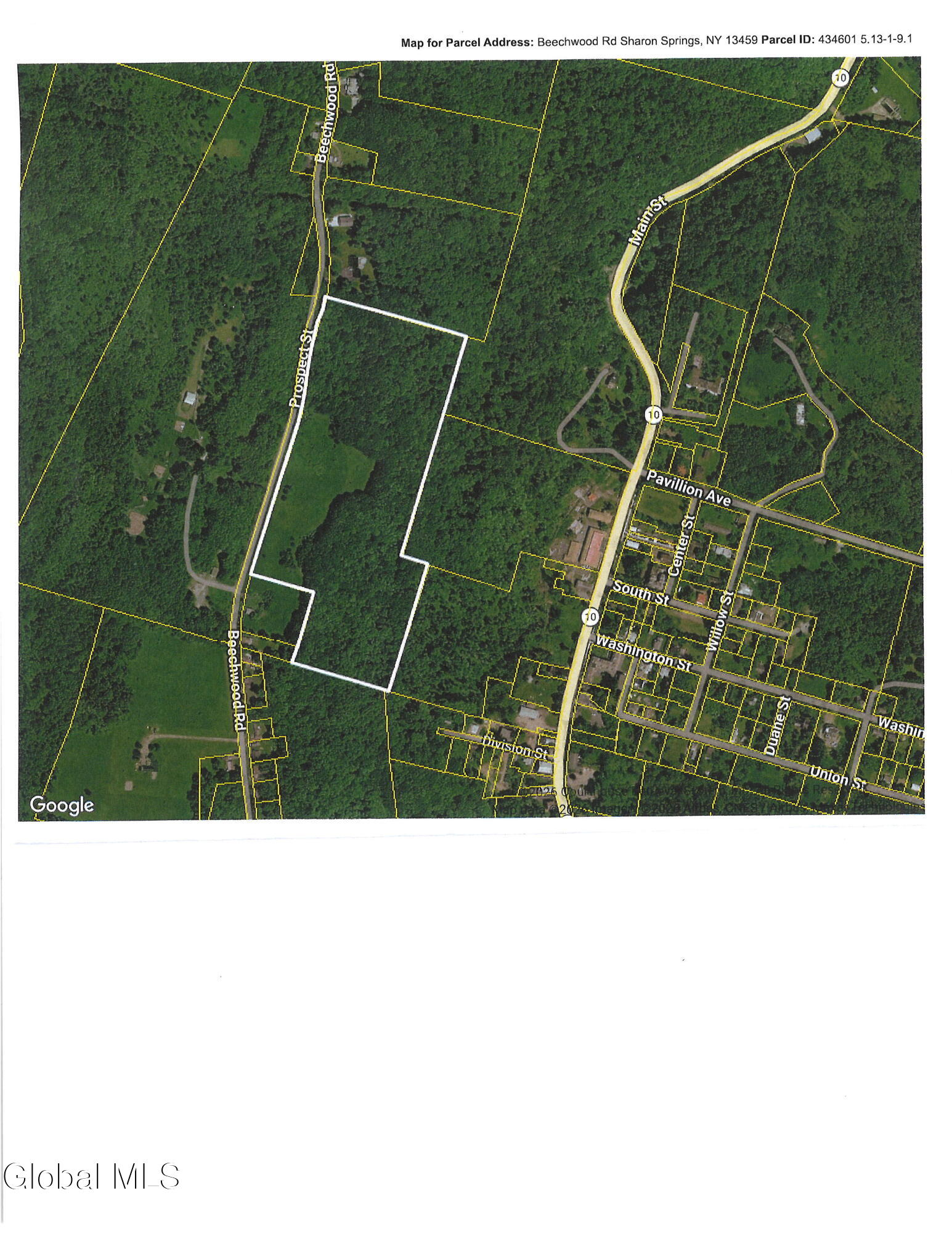 184 Beechwood Road Sharon Springs NY 13459
