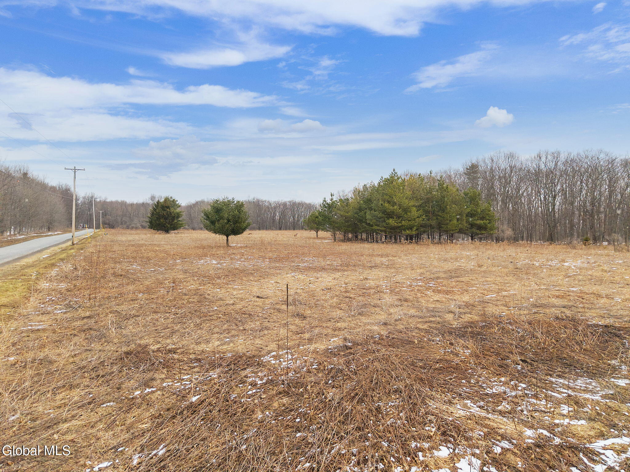 184 Beechwood Road Sharon Springs NY 13459