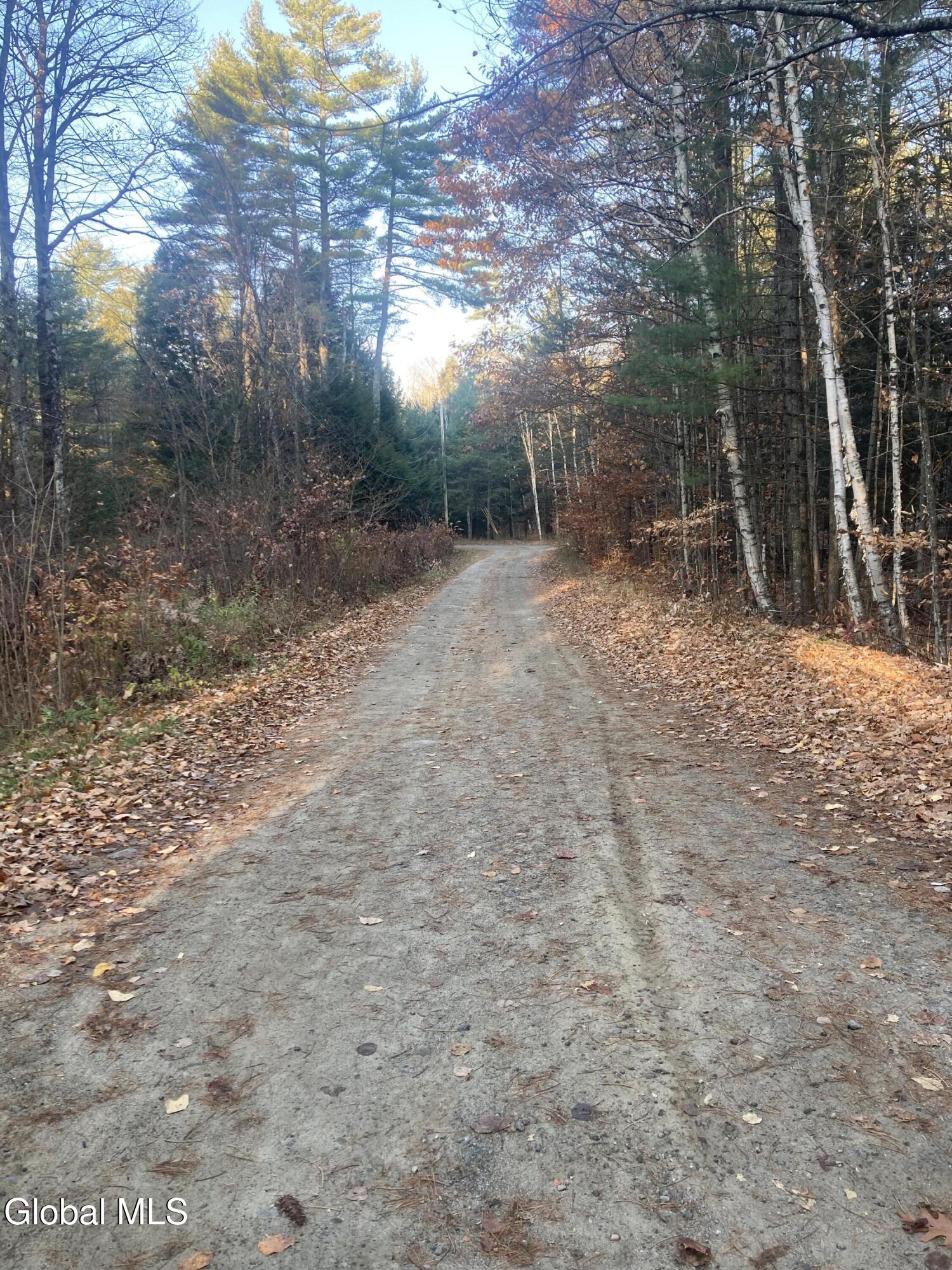 197 State Route 28n North Creek NY 12853