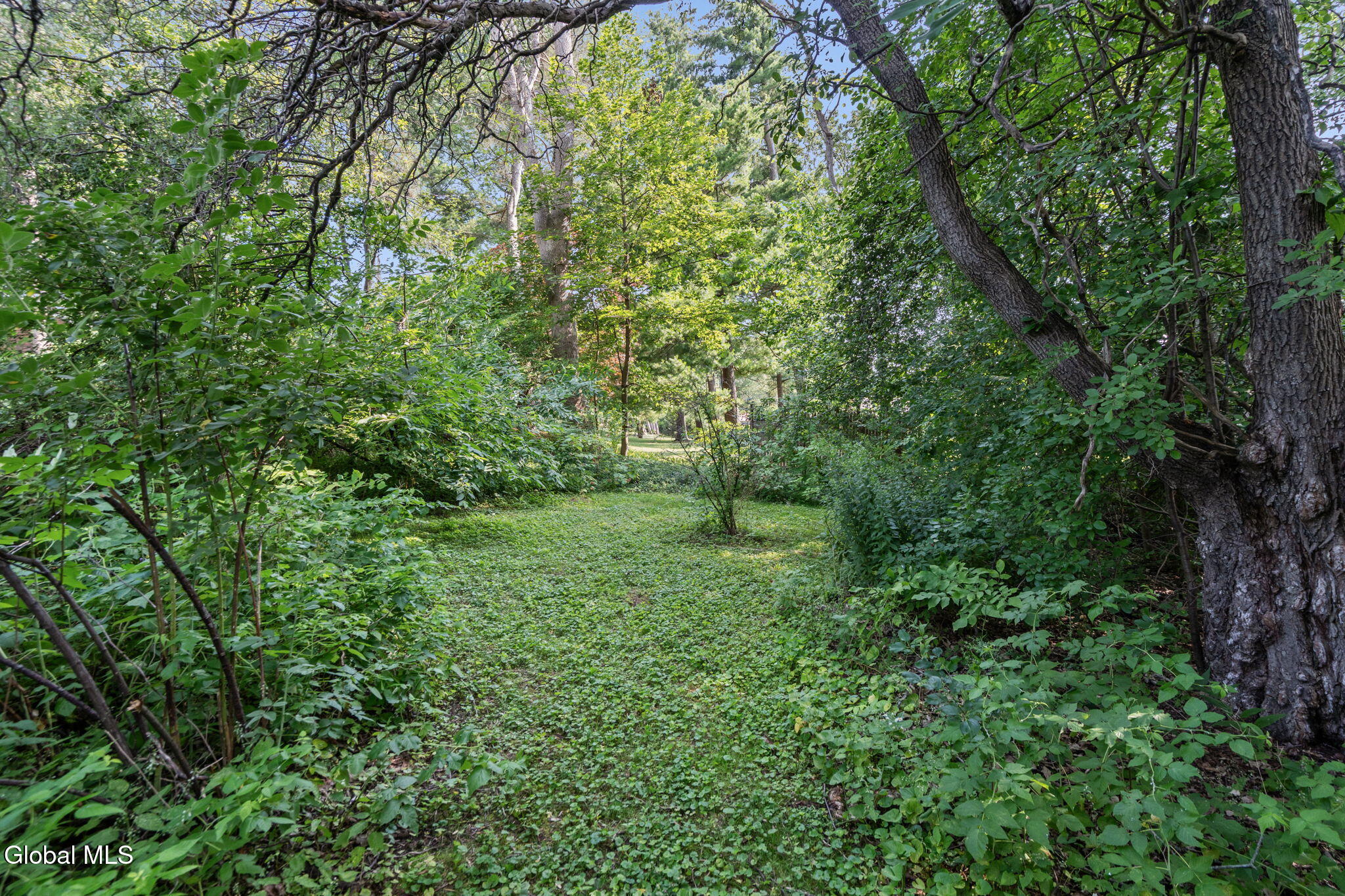 1171 Ruffner Road Niskayuna NY 12309
