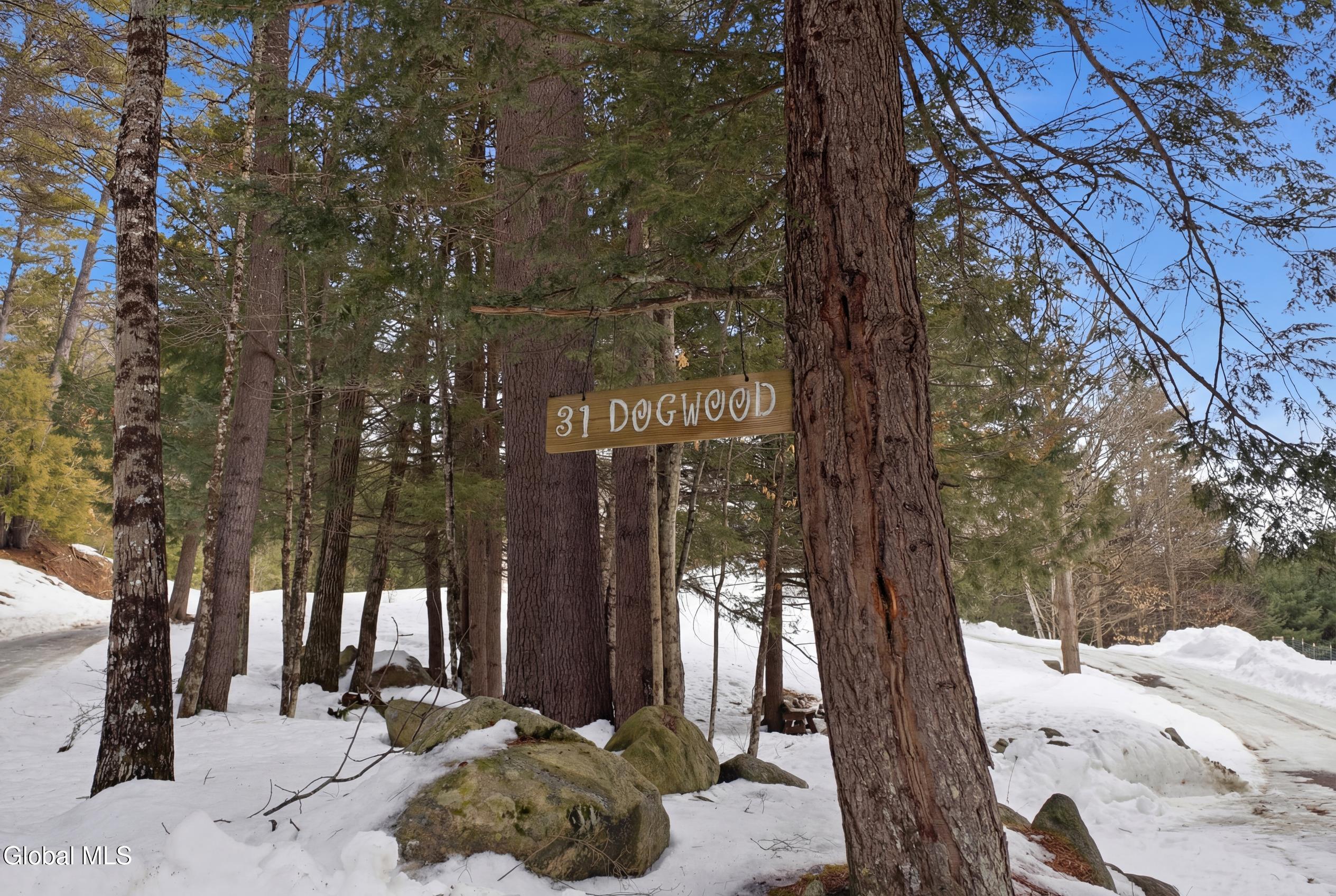 31 Dogwood Lane Pottersville NY 12860