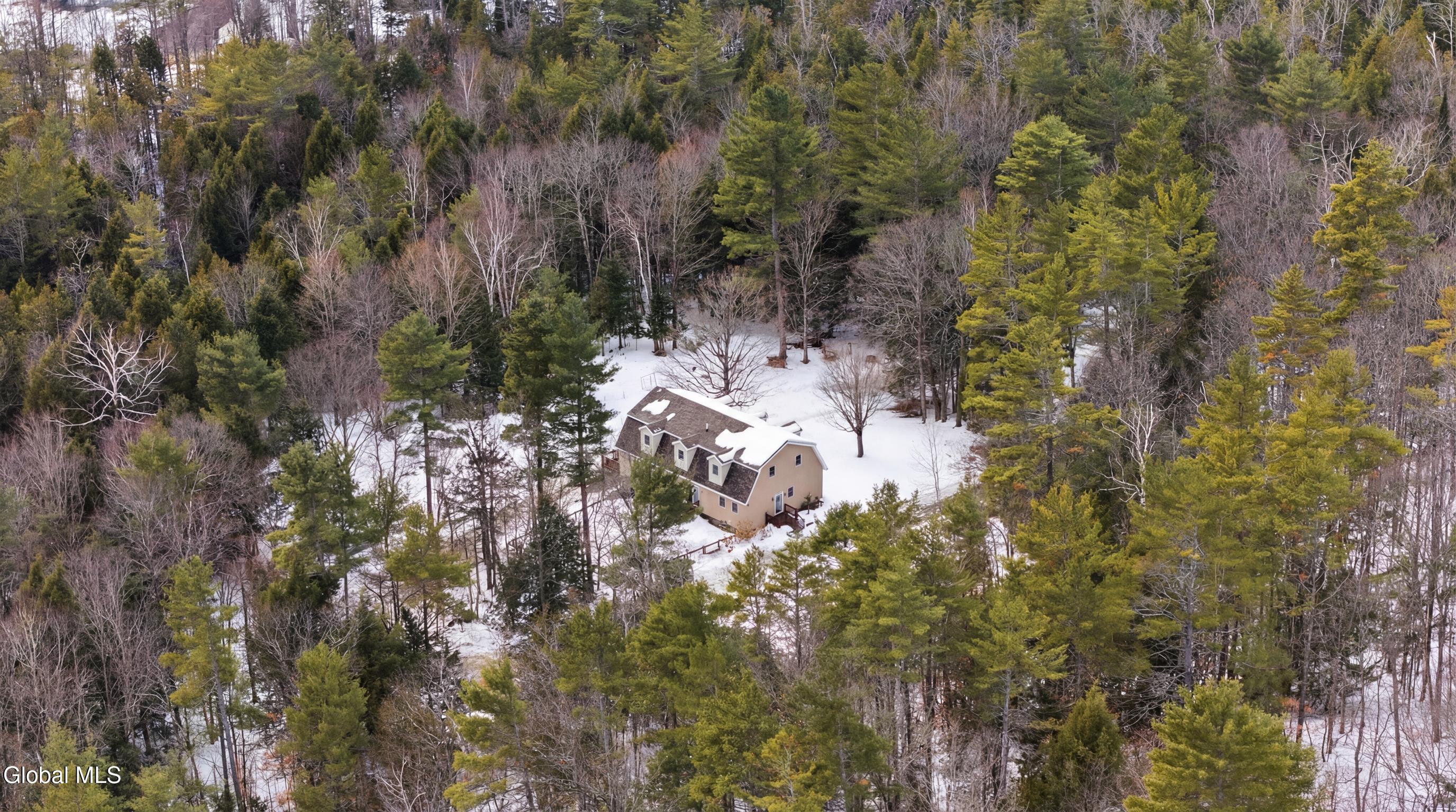 31 Dogwood Lane Pottersville NY 12860