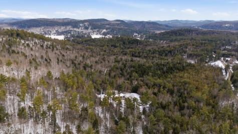 31 Dogwood Lane Pottersville NY 12860