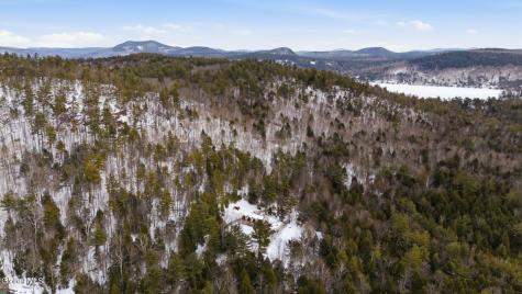 31 Dogwood Lane Pottersville NY 12860