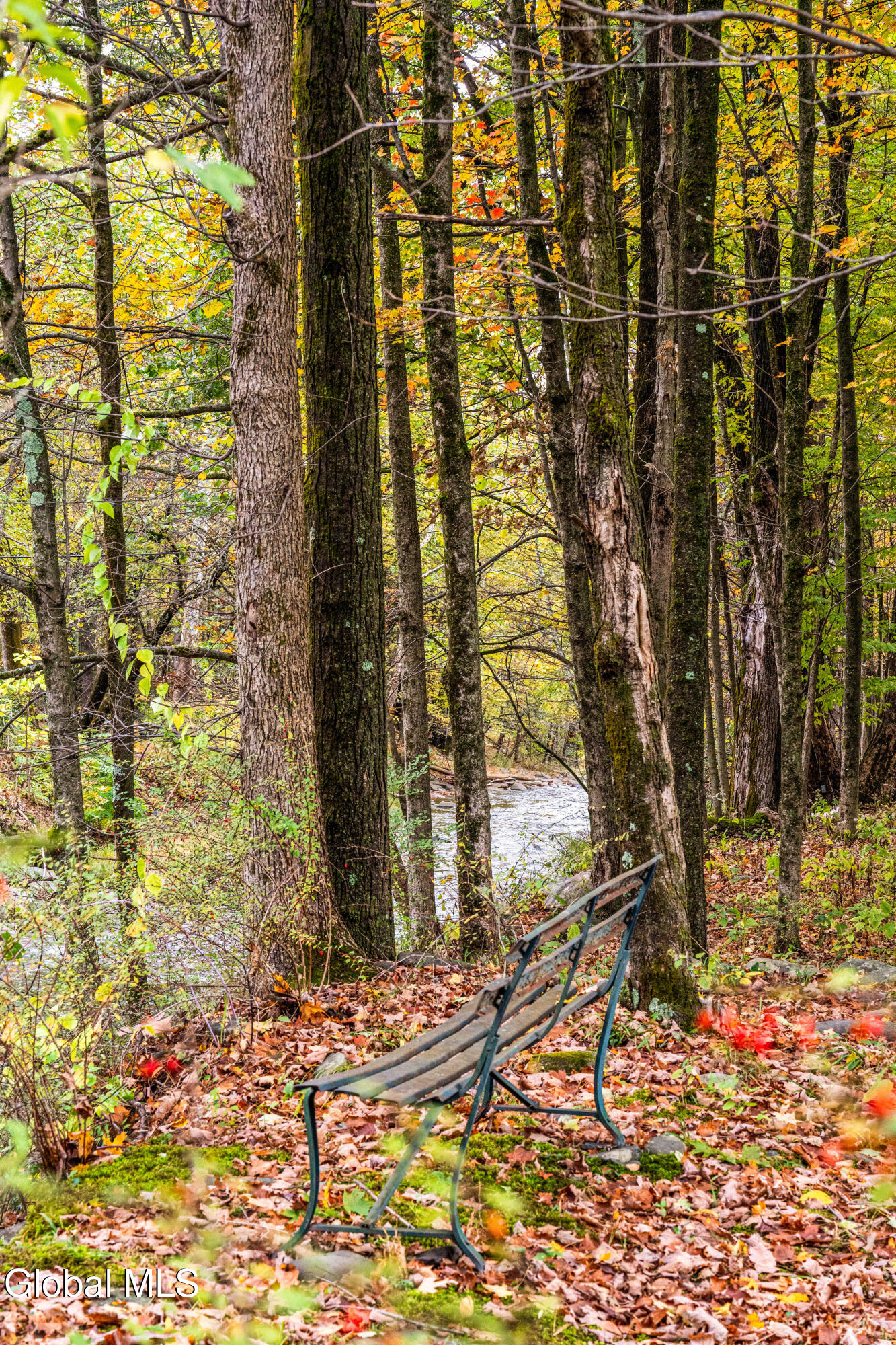 1 Wittenberg Road Woodstock NY 12498
