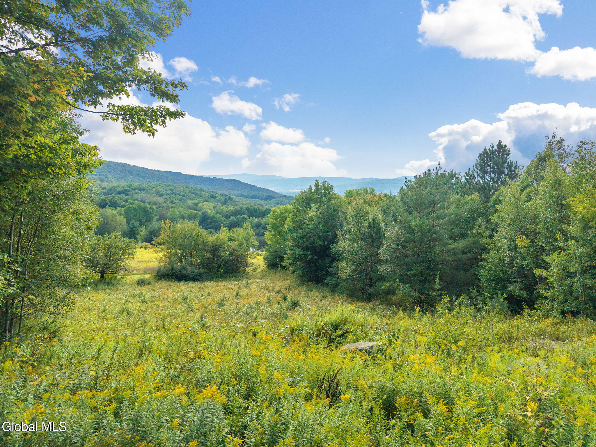 710 Piers Hill Road Roseboom NY 13488
