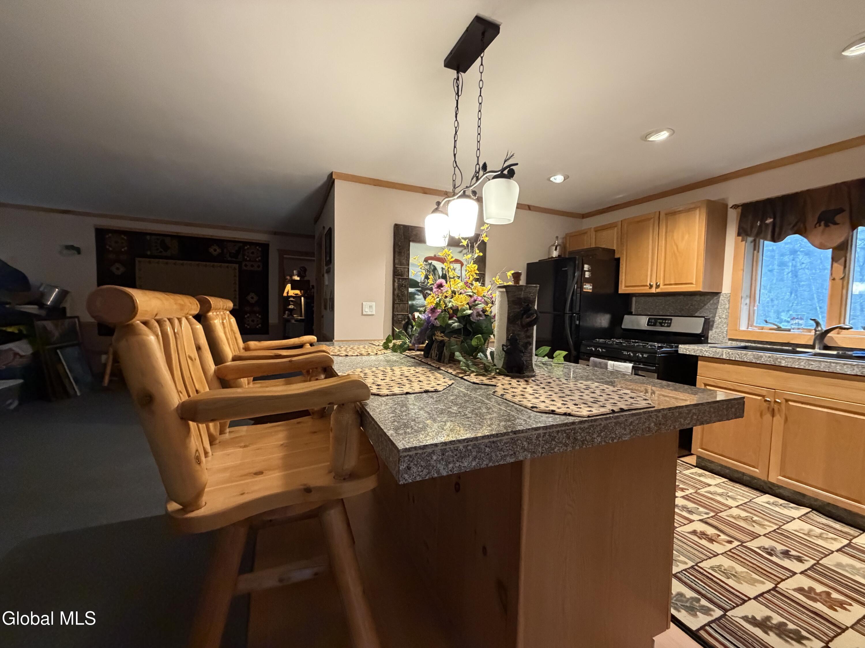 11 Beaureguard Way Minerva NY 12851