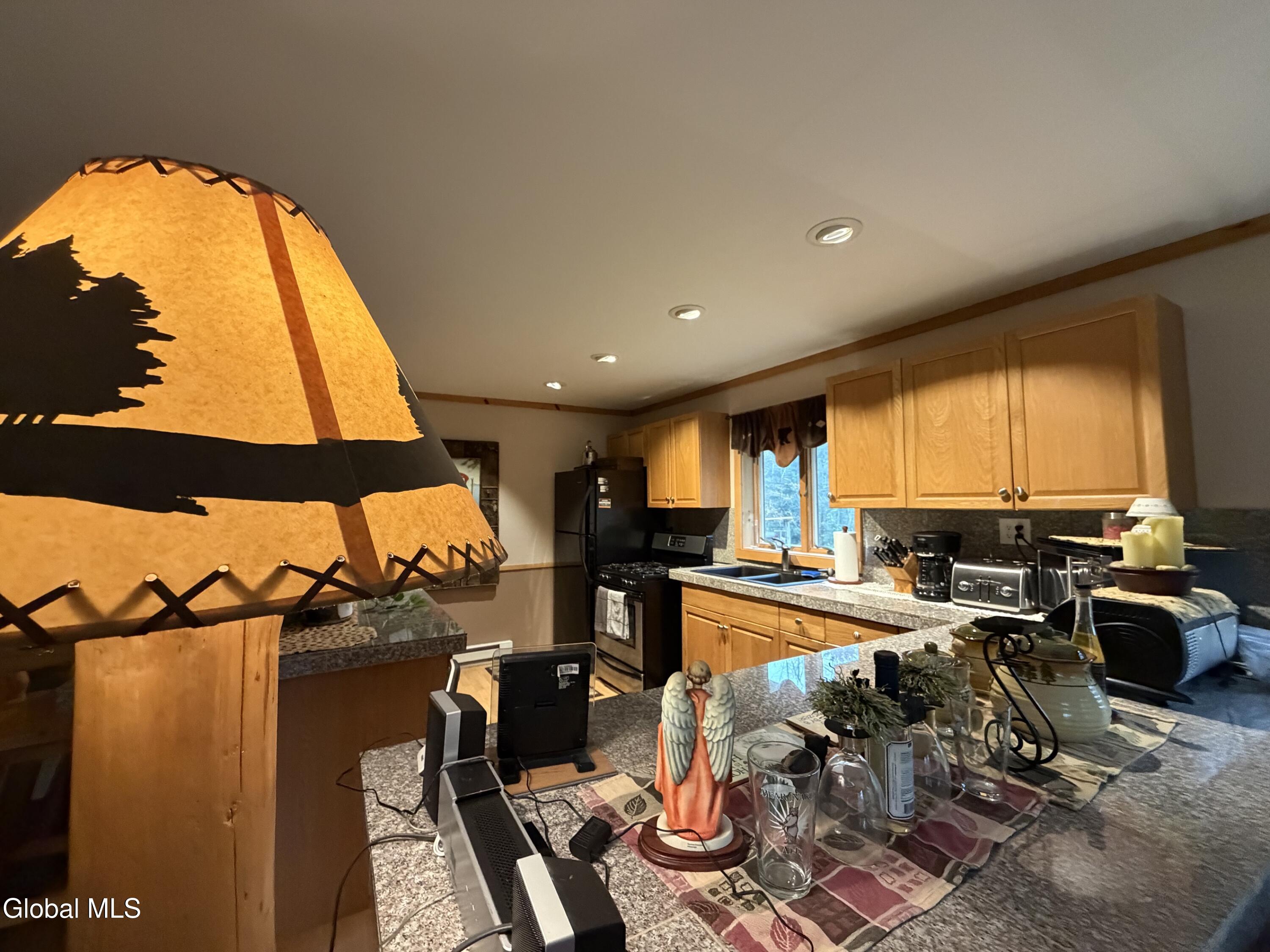 11 Beaureguard Way Minerva NY 12851