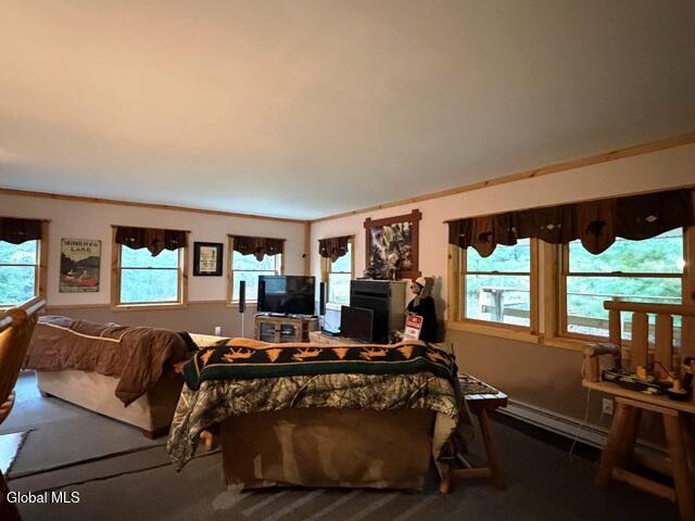 11 Beaureguard Way Minerva NY 12851