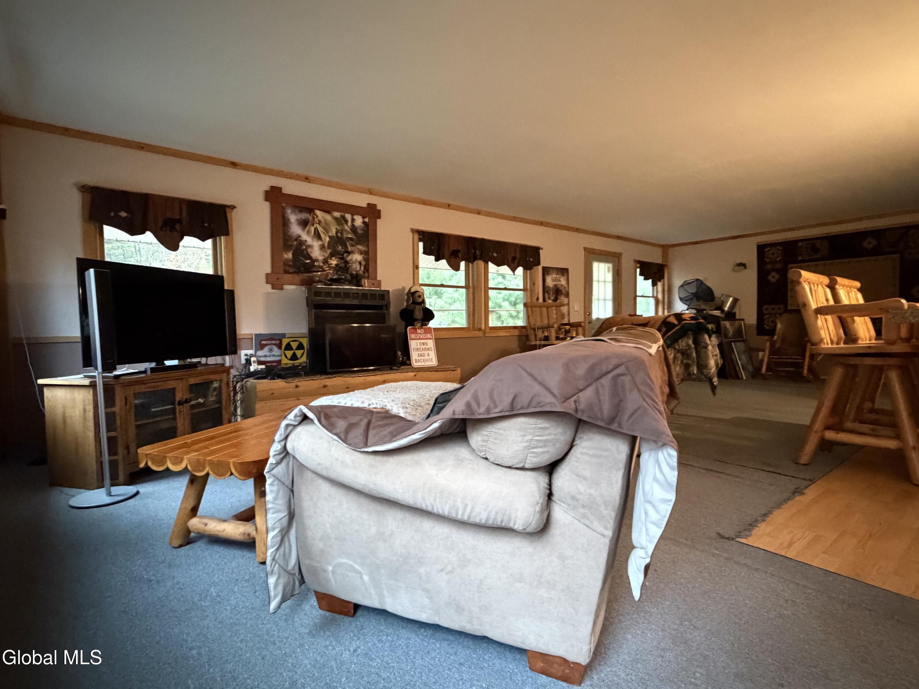 11 Beaureguard Way Minerva NY 12851