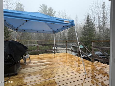 11 Beaureguard Way Minerva NY 12851