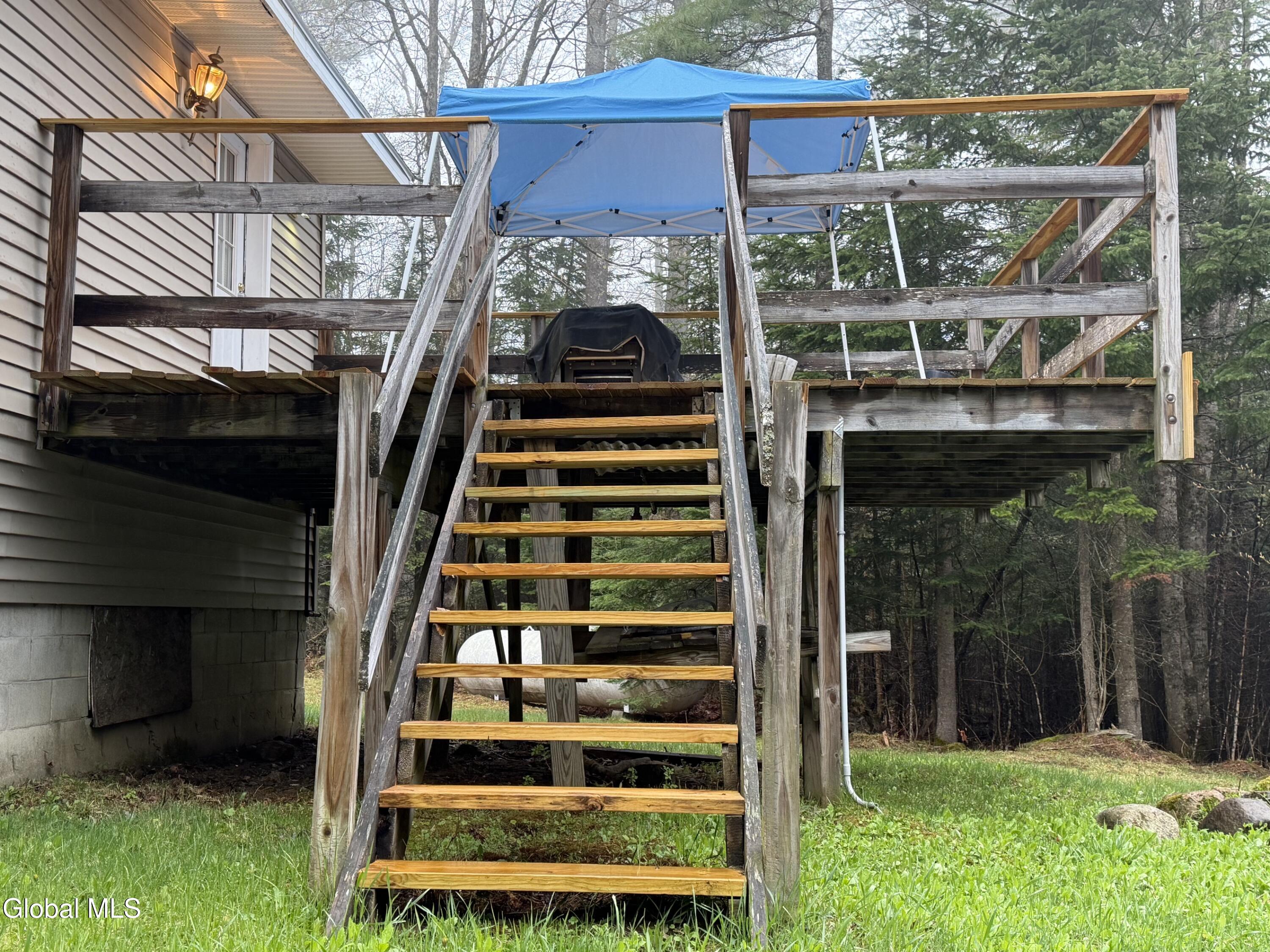 11 Beaureguard Way Minerva NY 12851