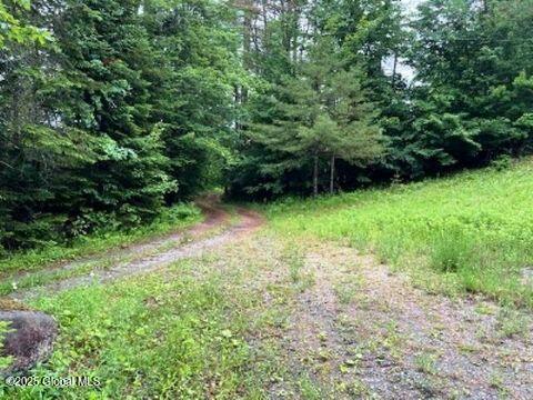 11 Beaureguard Way Minerva NY 12851
