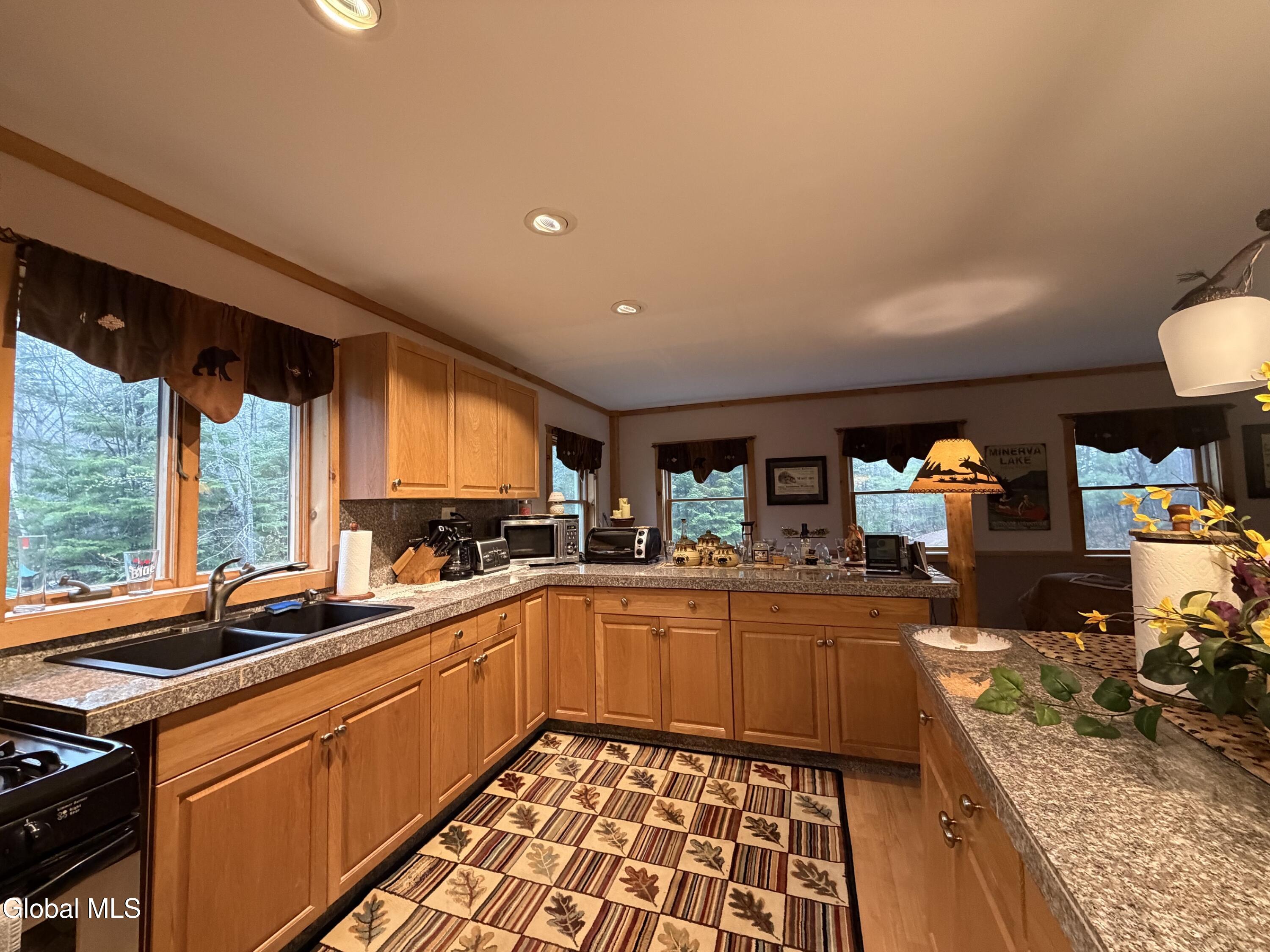 11 Beaureguard Way Minerva NY 12851