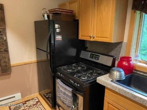 11 Beaureguard Way Minerva NY 12851