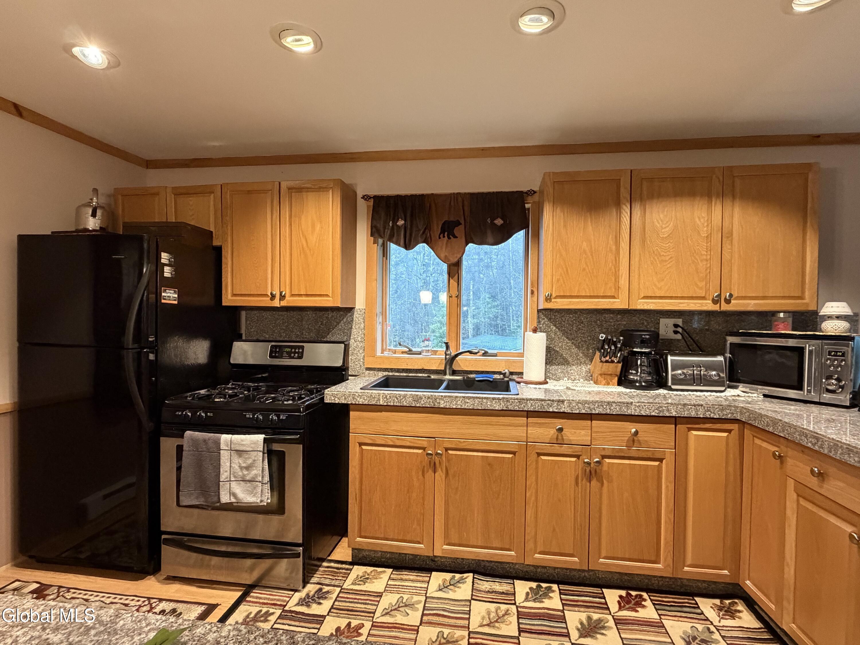 11 Beaureguard Way Minerva NY 12851