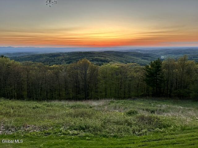 116 Ridge Road East Chatham NY 12060