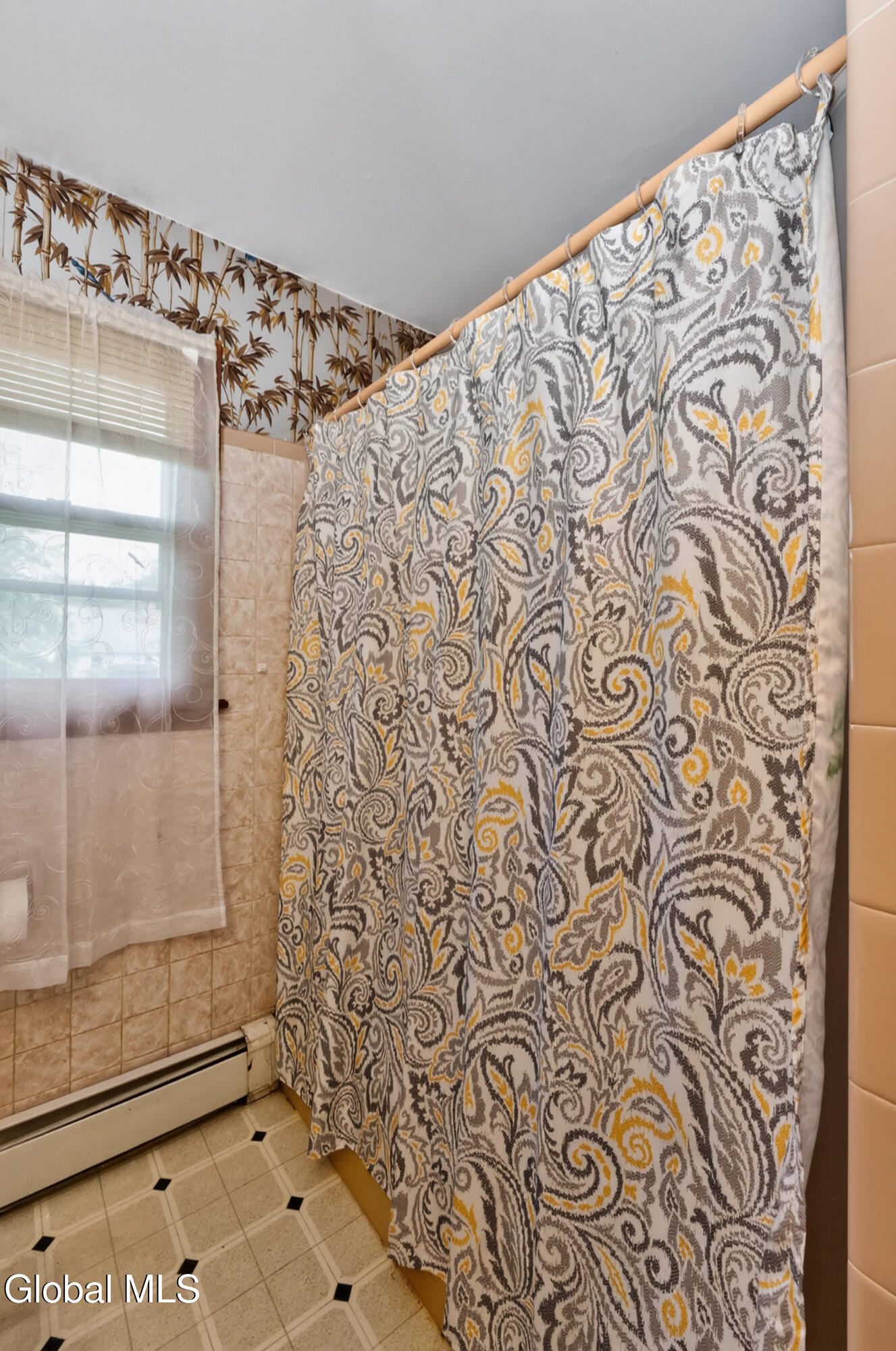 6 Theresa Ann Court Albany NY 12205