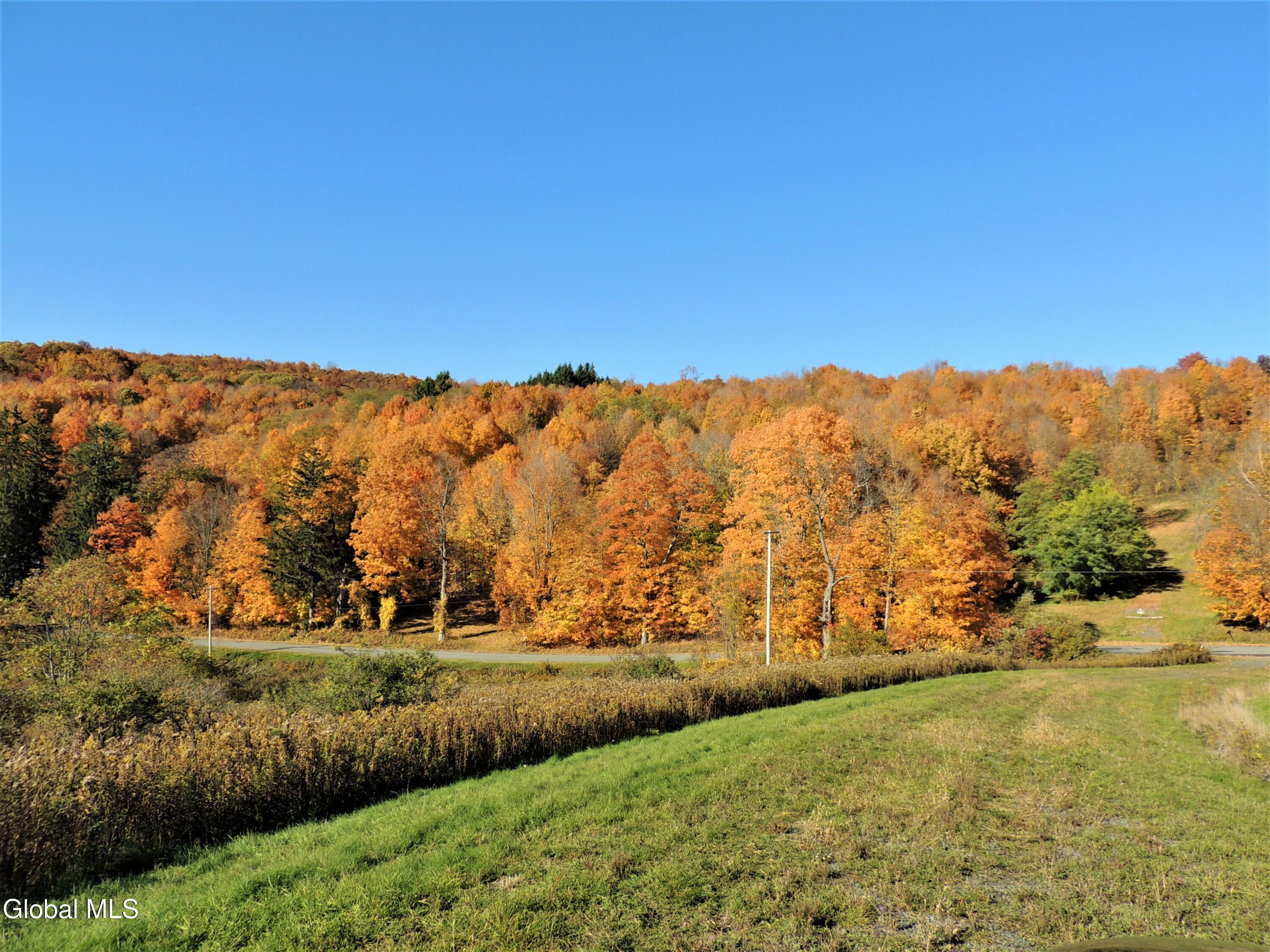 274 Bald Mountain Road Troy NY 12180